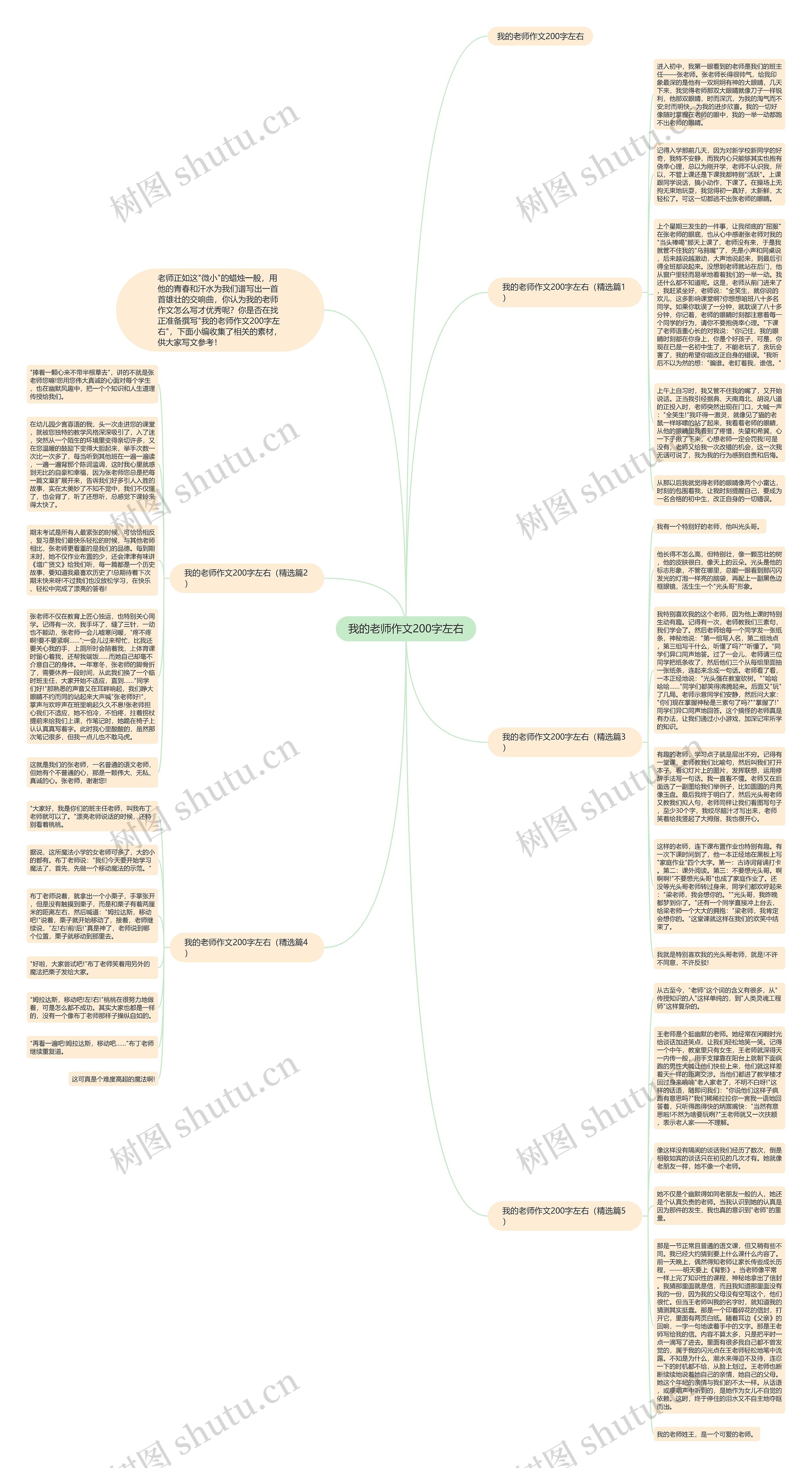 我的老师作文200字左右思维导图