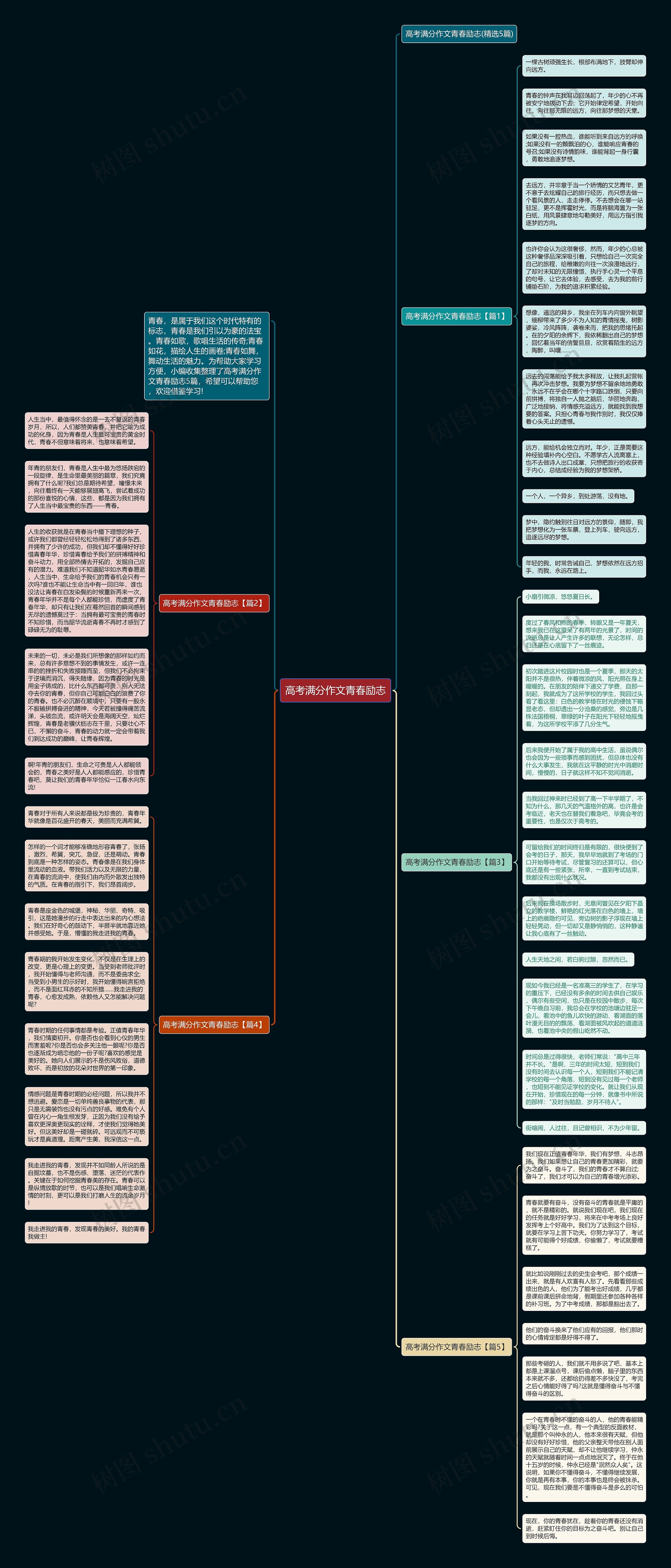 高考满分作文青春励志思维导图