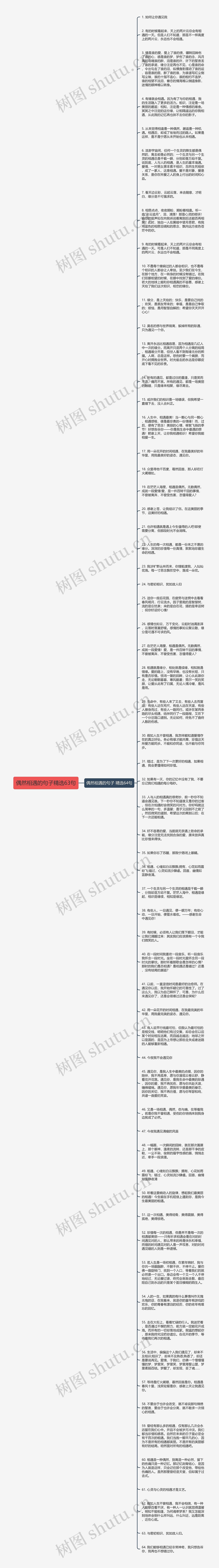 偶然相遇的句子精选63句思维导图