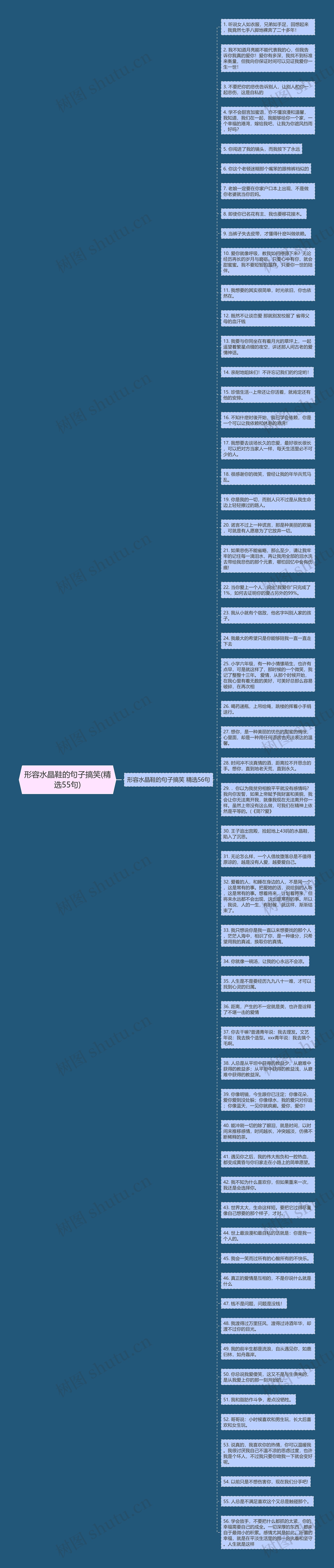 形容水晶鞋的句子搞笑(精选55句)思维导图