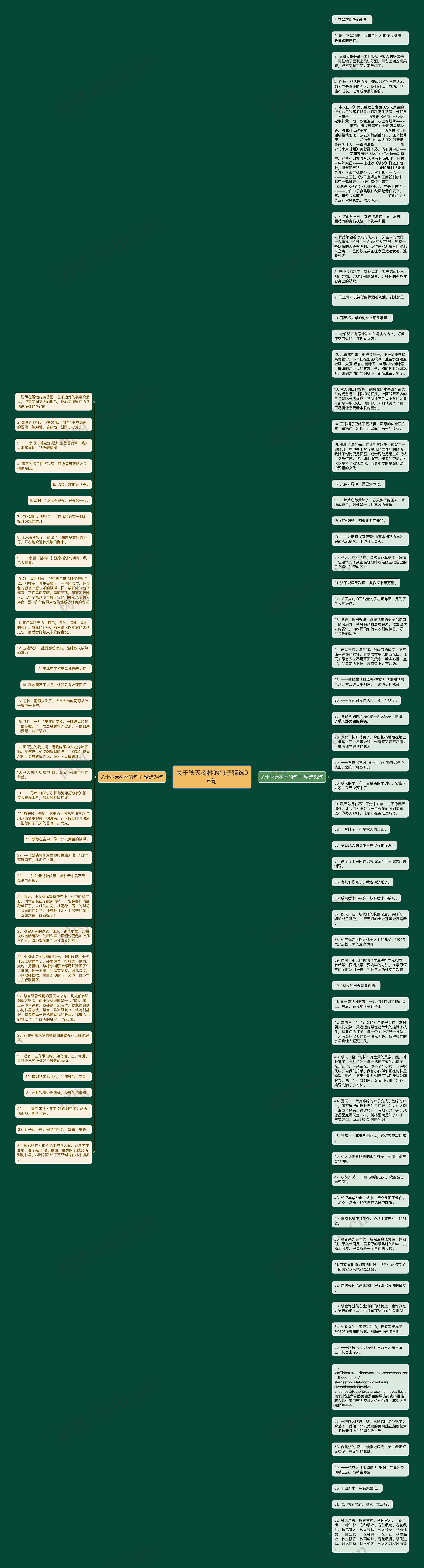 关于秋天树林的句子精选96句思维导图