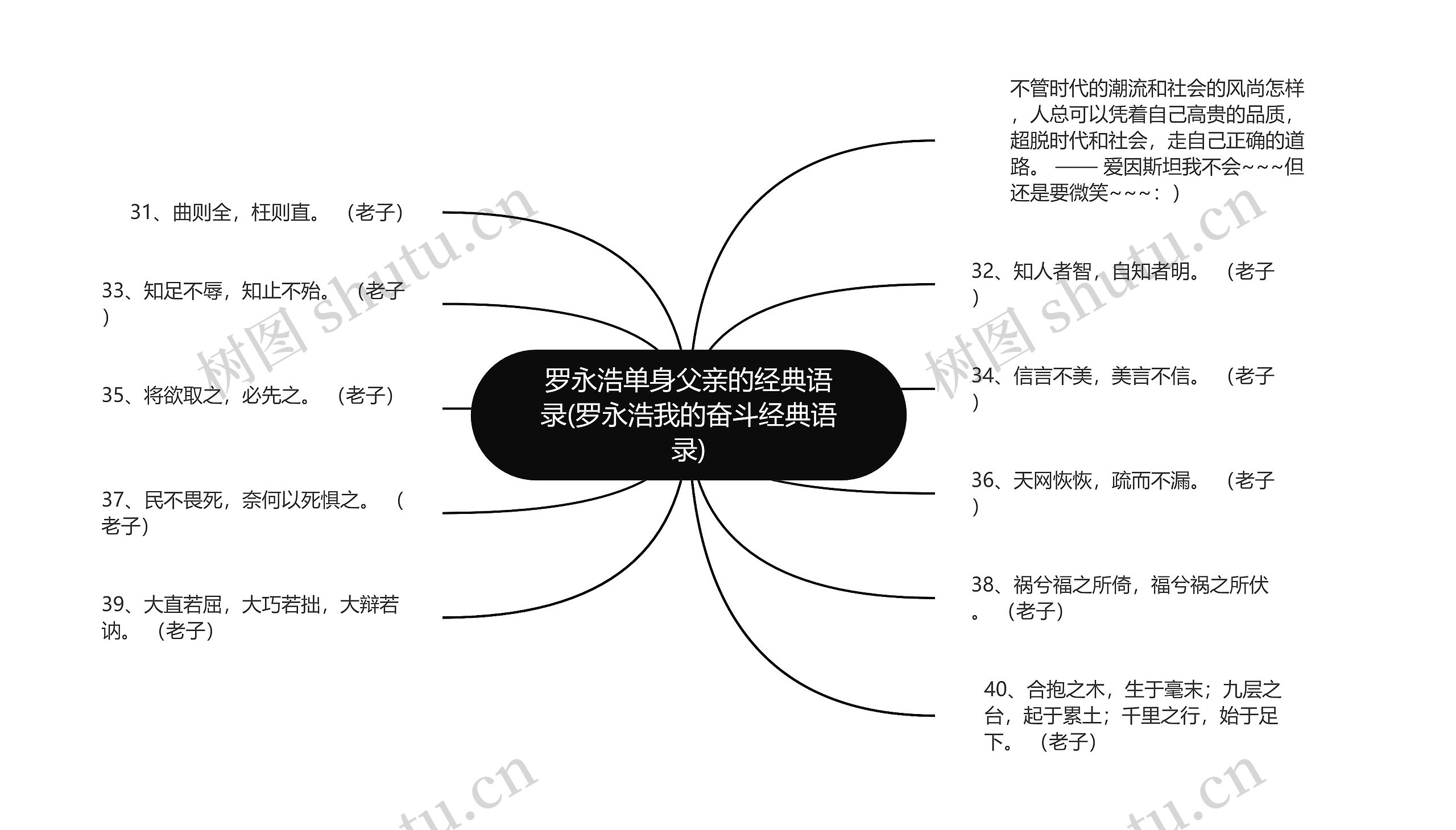 罗永浩单身父亲的经典语录(罗永浩我的奋斗经典语录)思维导图