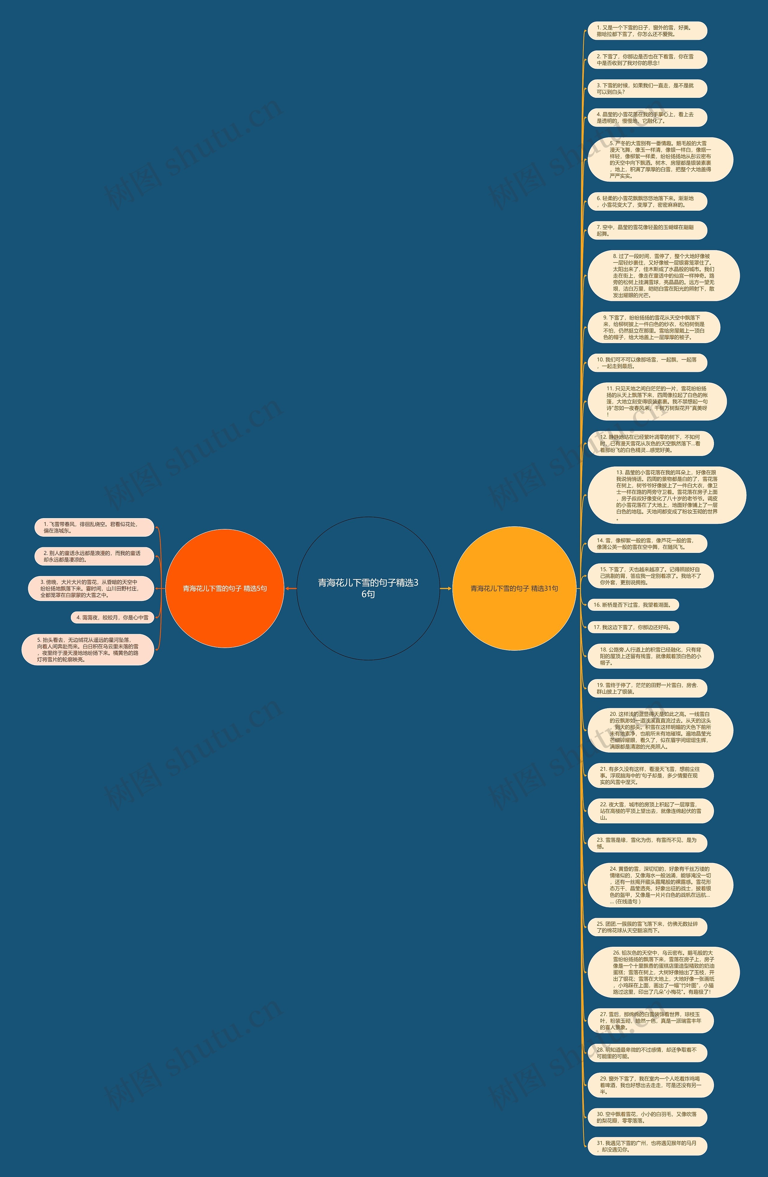 青海花儿下雪的句子精选36句思维导图