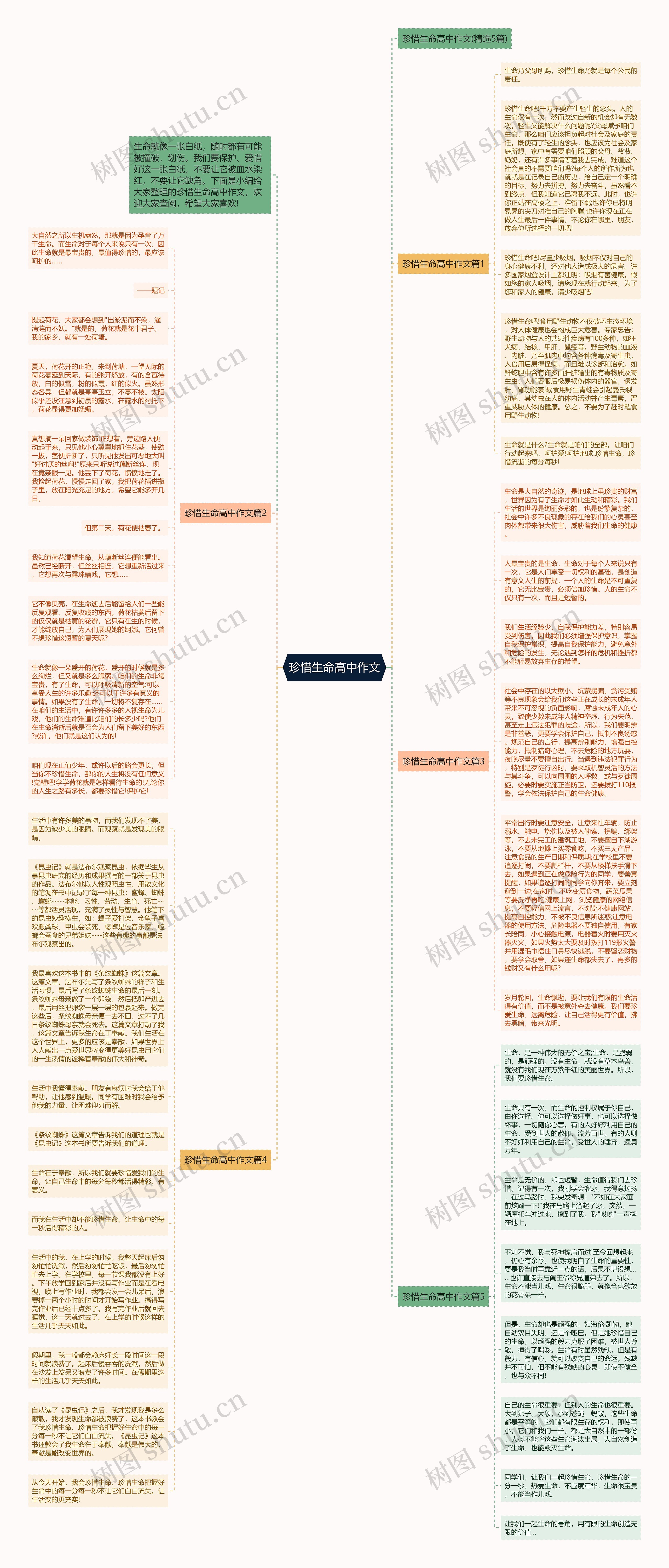 珍惜生命高中作文思维导图