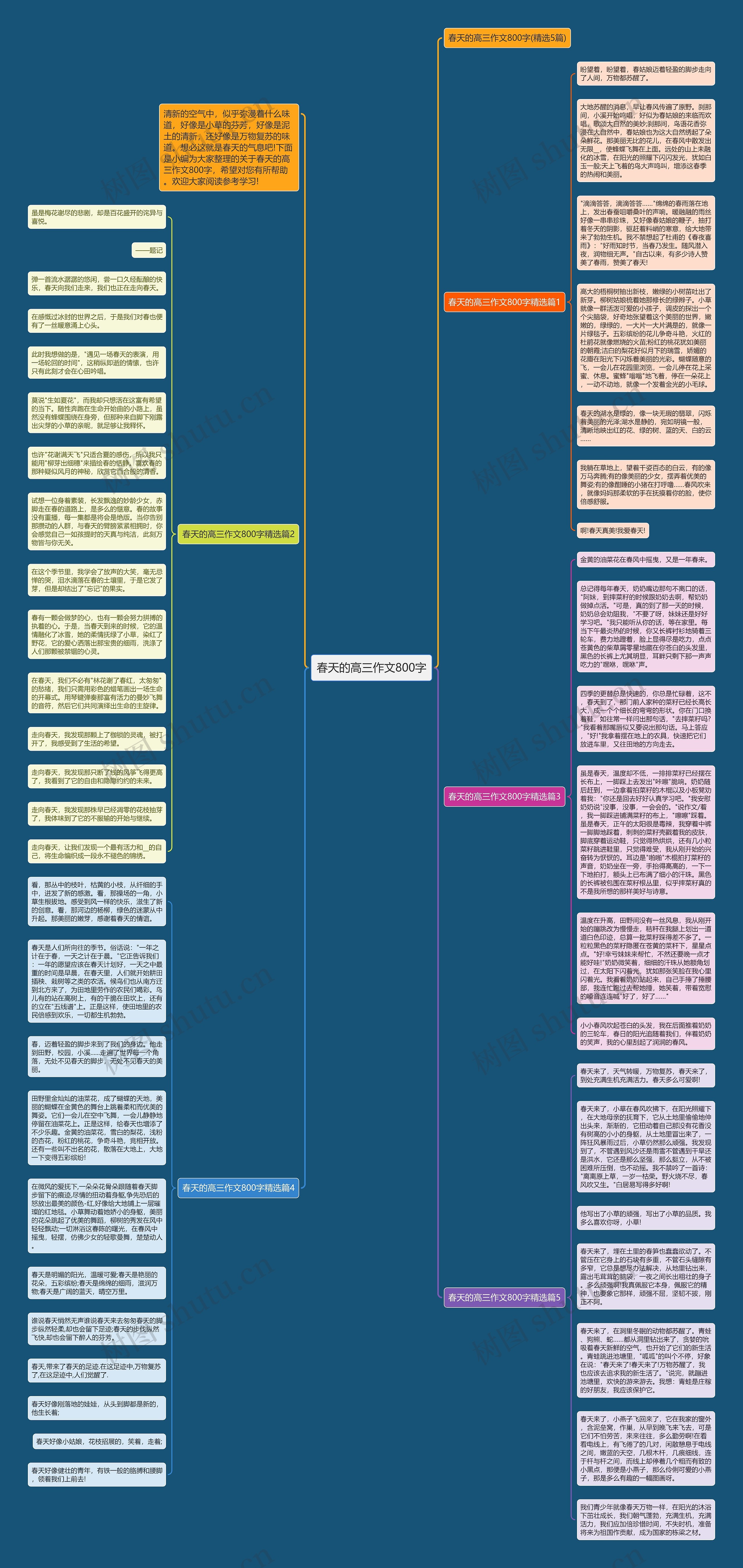 春天的高三作文800字思维导图