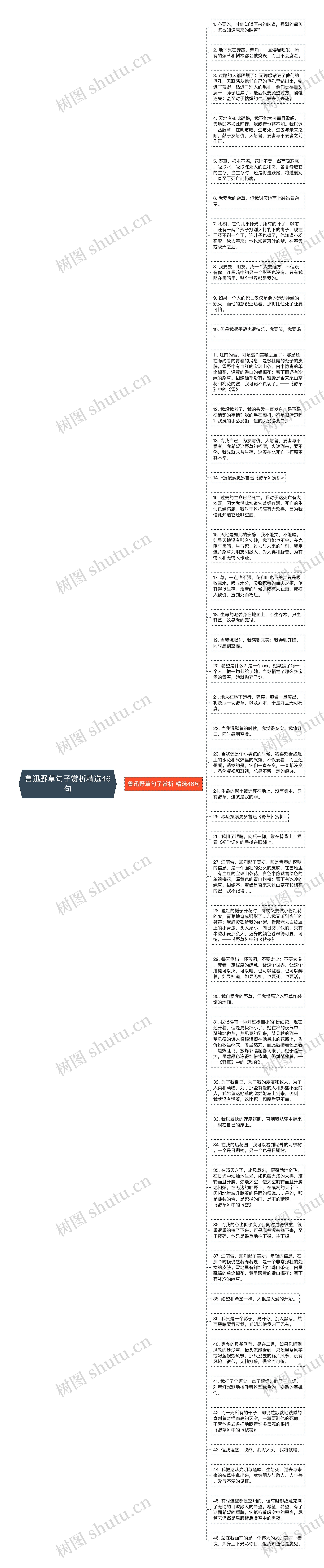 鲁迅野草句子赏析精选46句思维导图