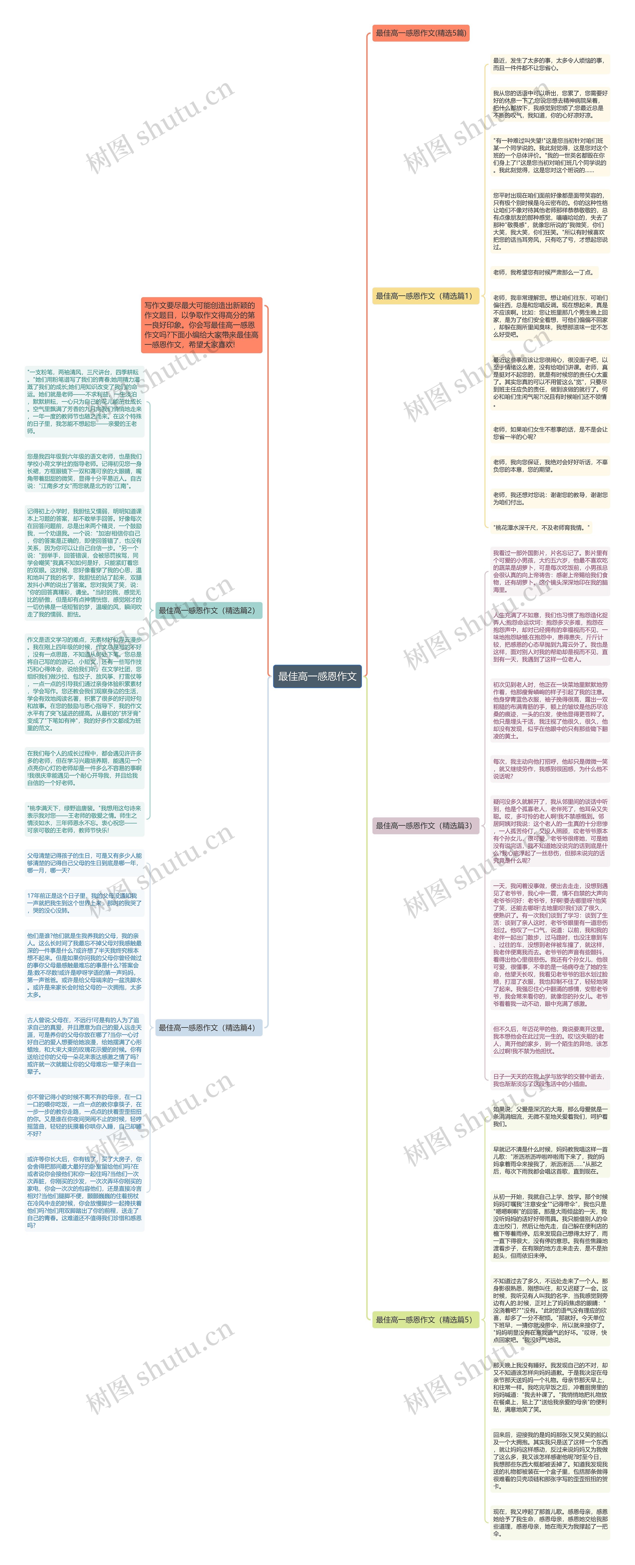 最佳高一感恩作文思维导图