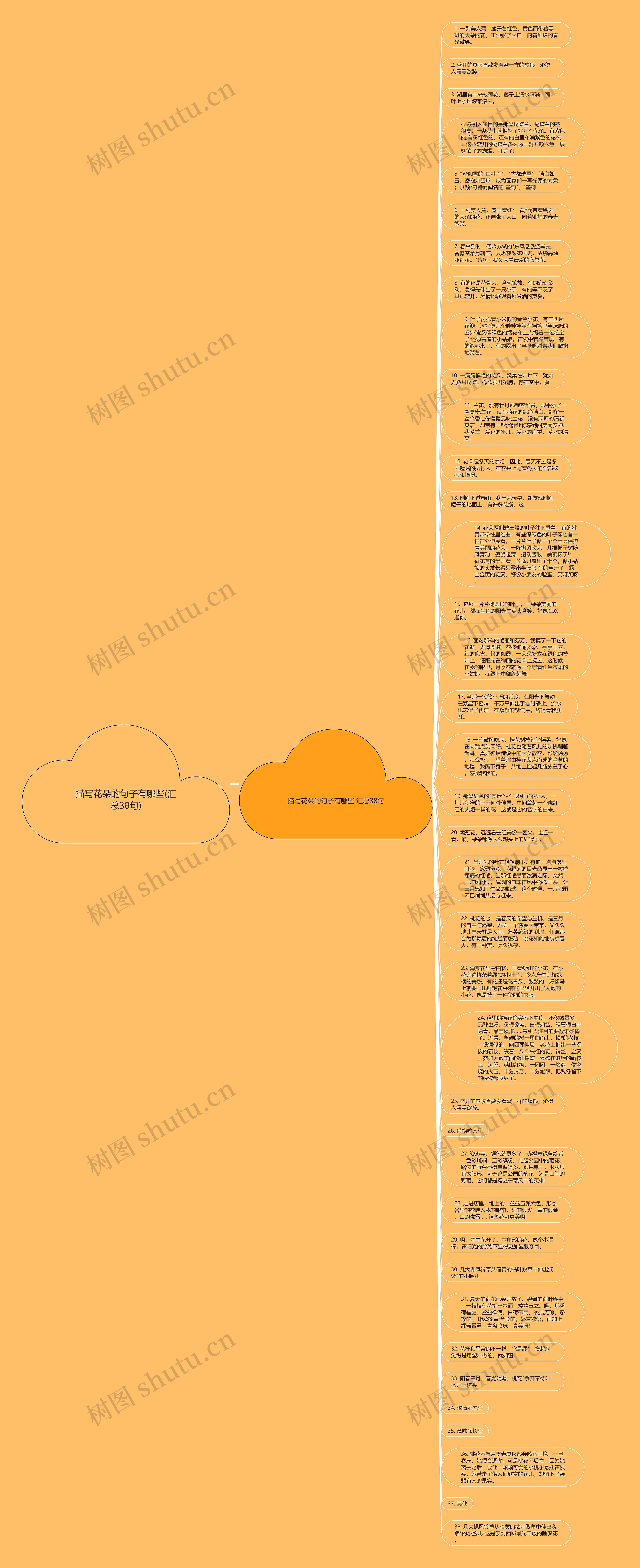 描写花朵的句子有哪些(汇总38句)思维导图