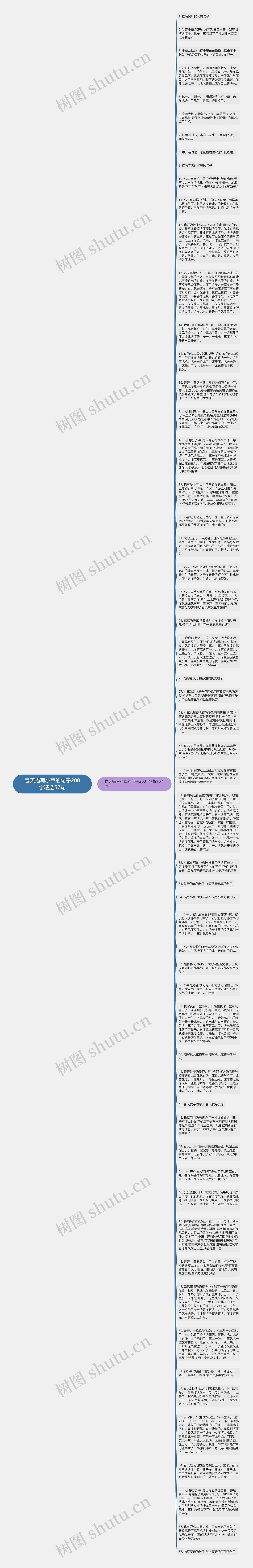 春天描写小草的句子200字精选57句思维导图