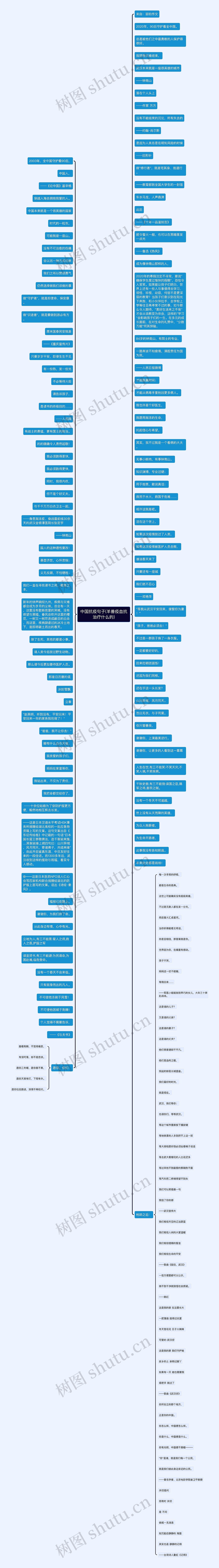 中国抗疫句子(羊兽疫血抗治疗什么的)思维导图