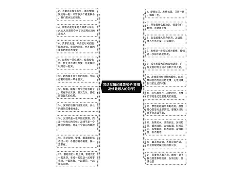 写给友情的唯美句子(珍惜友情最感人的句子)