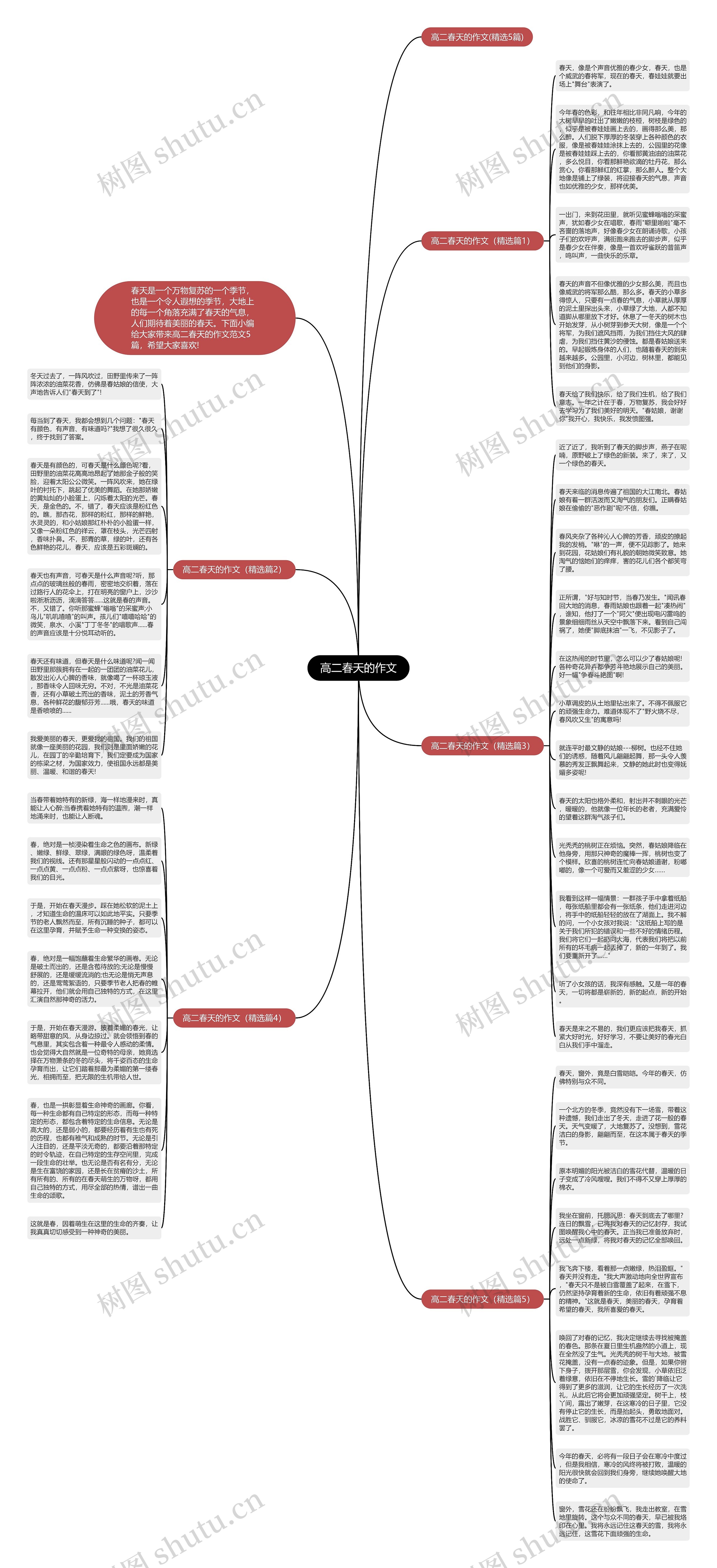高二春天的作文思维导图