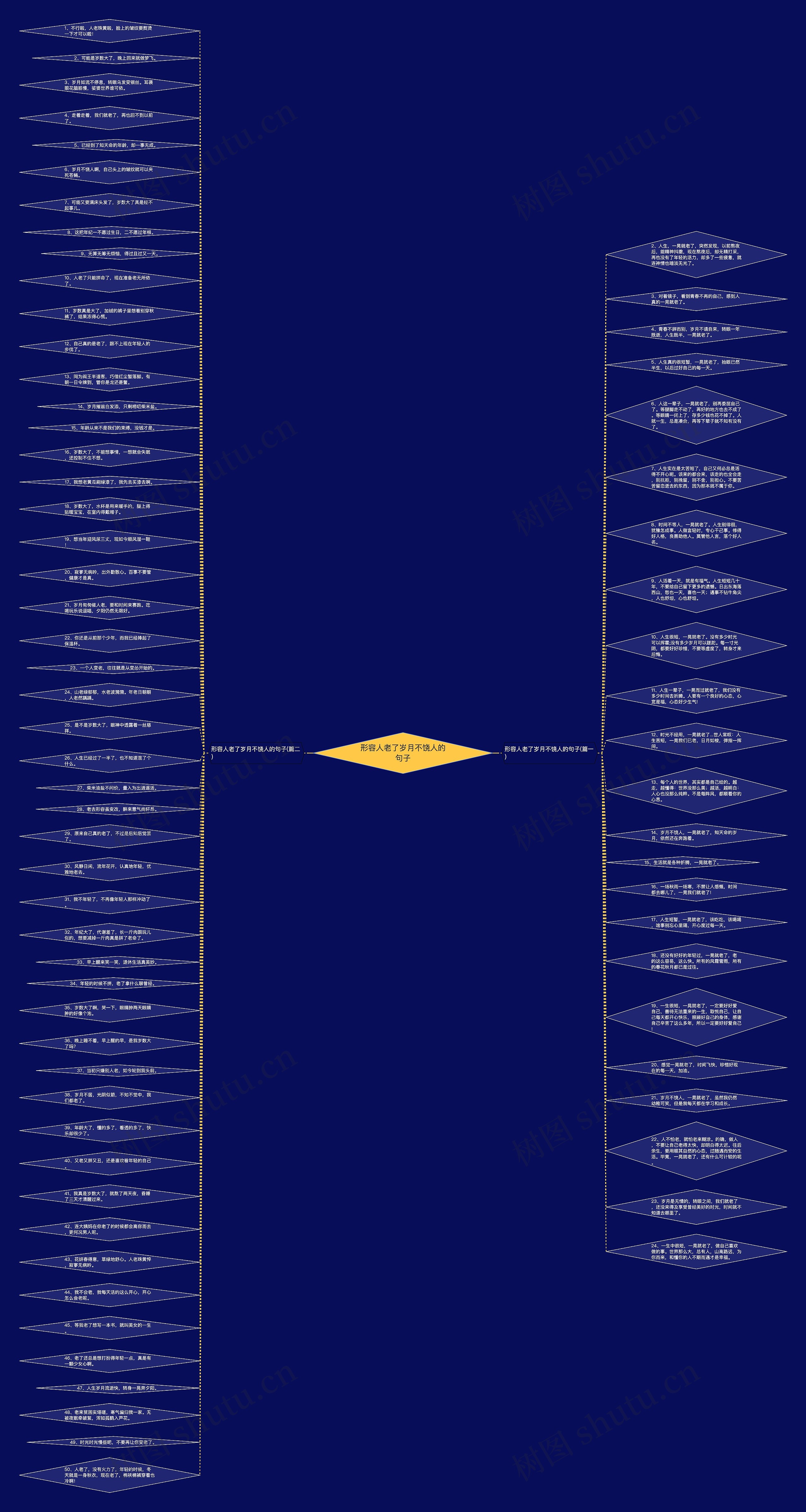 形容人老了岁月不饶人的句子思维导图