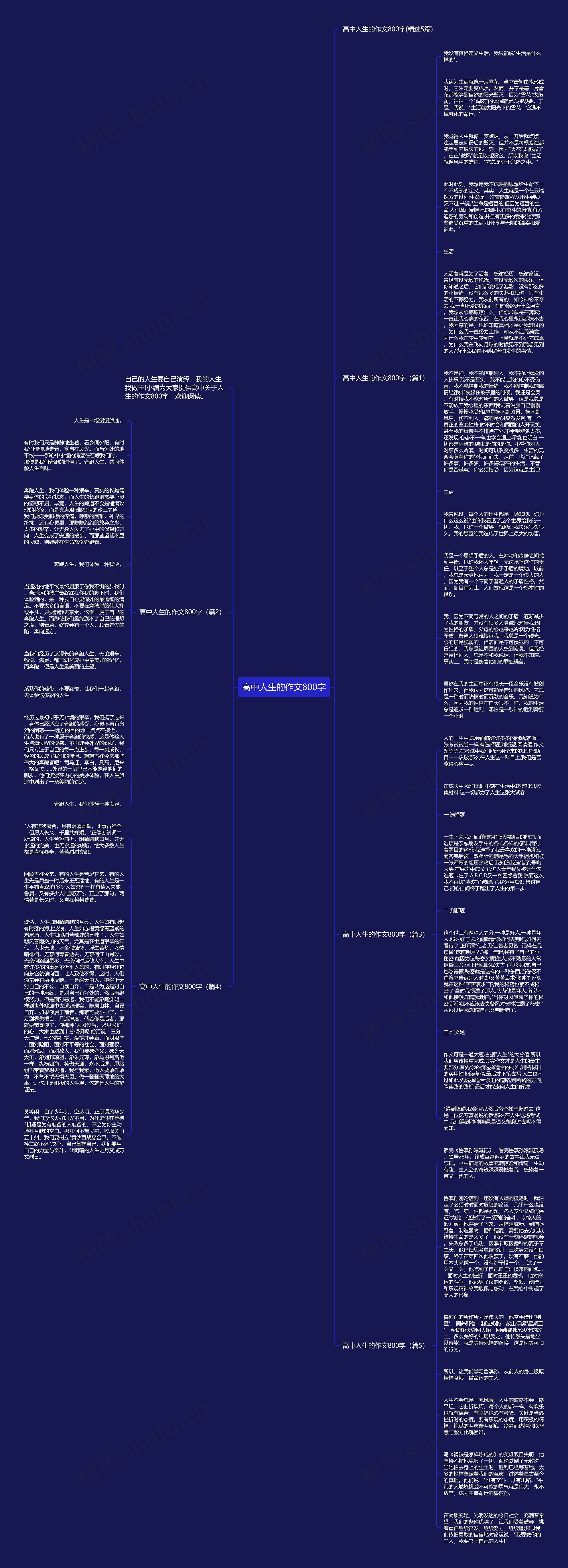 高中人生的作文800字思维导图