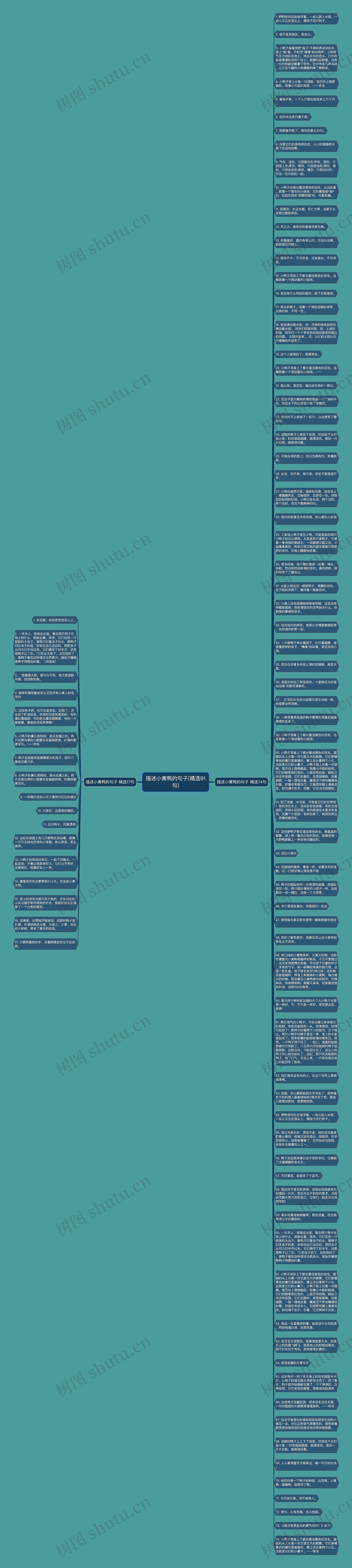 描述小黄鸭的句子(精选91句)思维导图高清图 描述小黄鸭的句子(精选91句)思维导图
