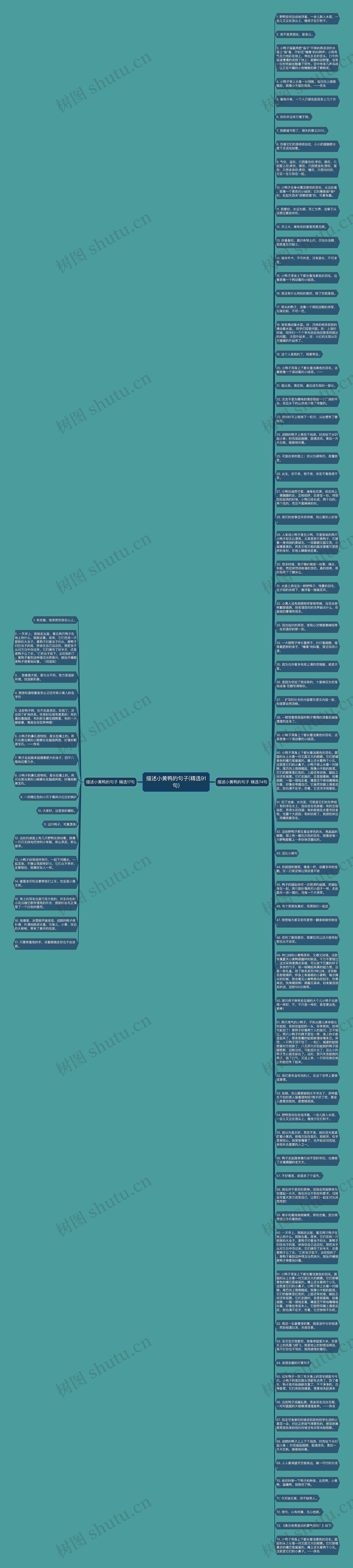描述小黄鸭的句子(精选91句)思维导图