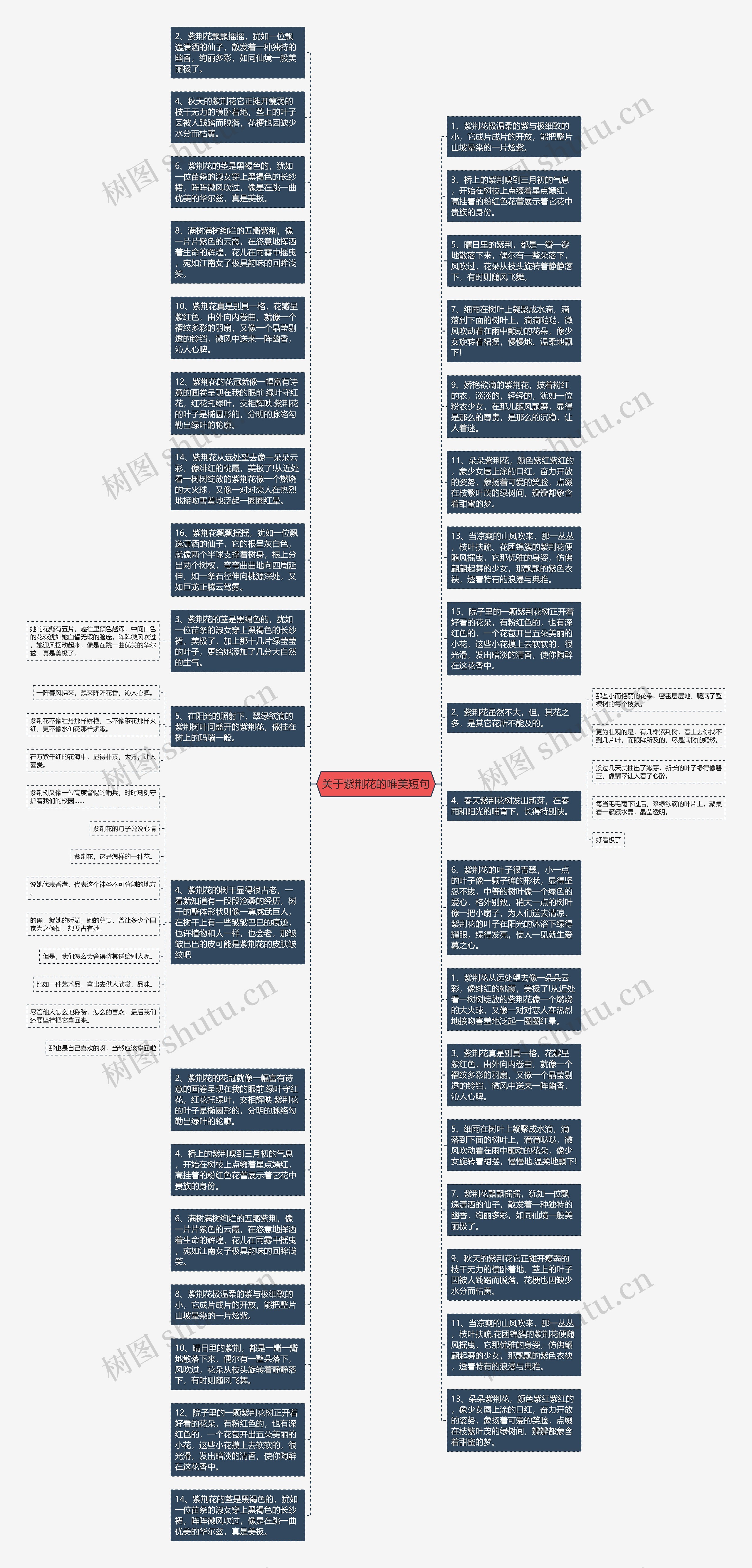 关于紫荆花的唯美短句思维导图