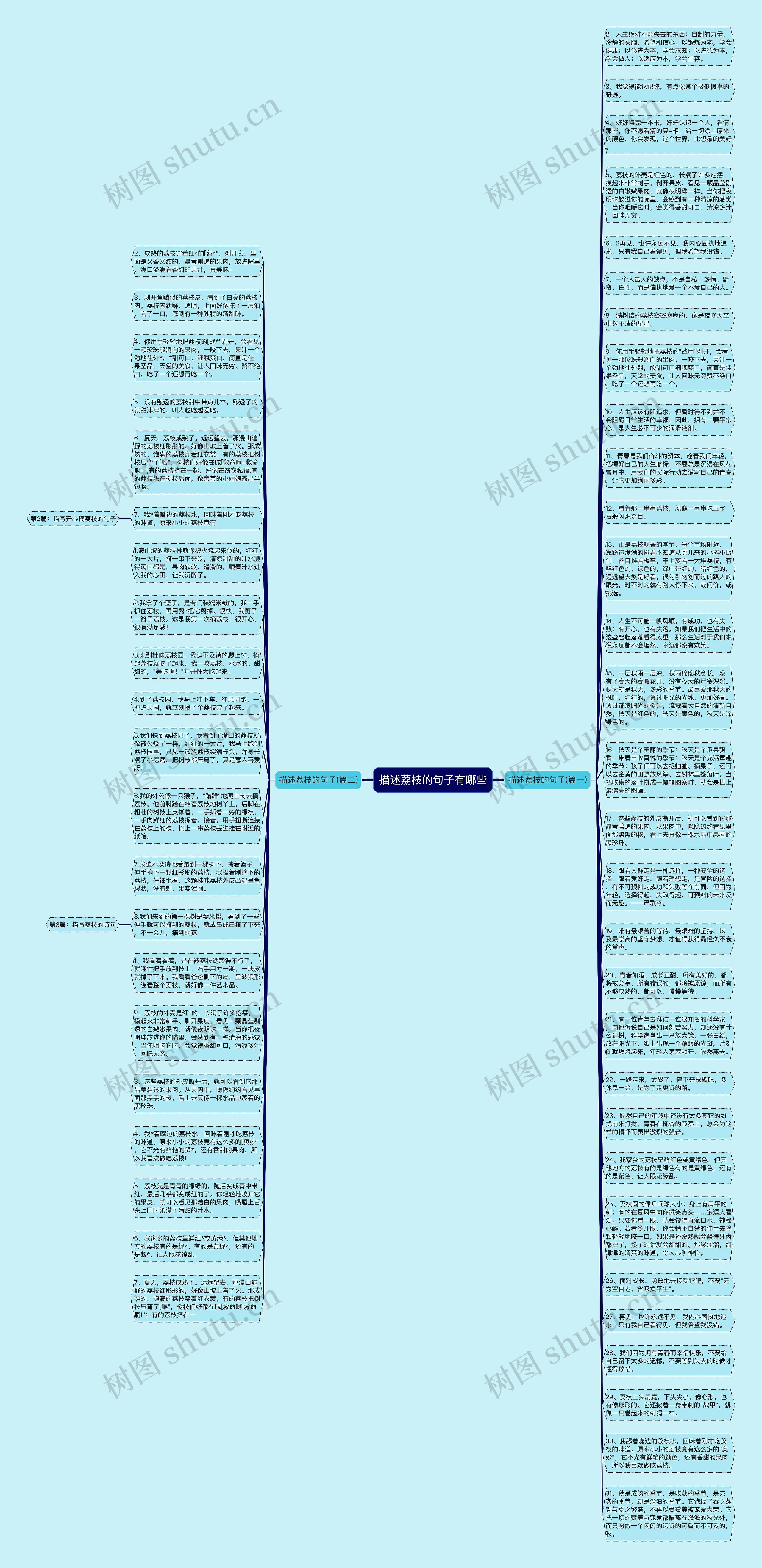 描述荔枝的句子有哪些思维导图
