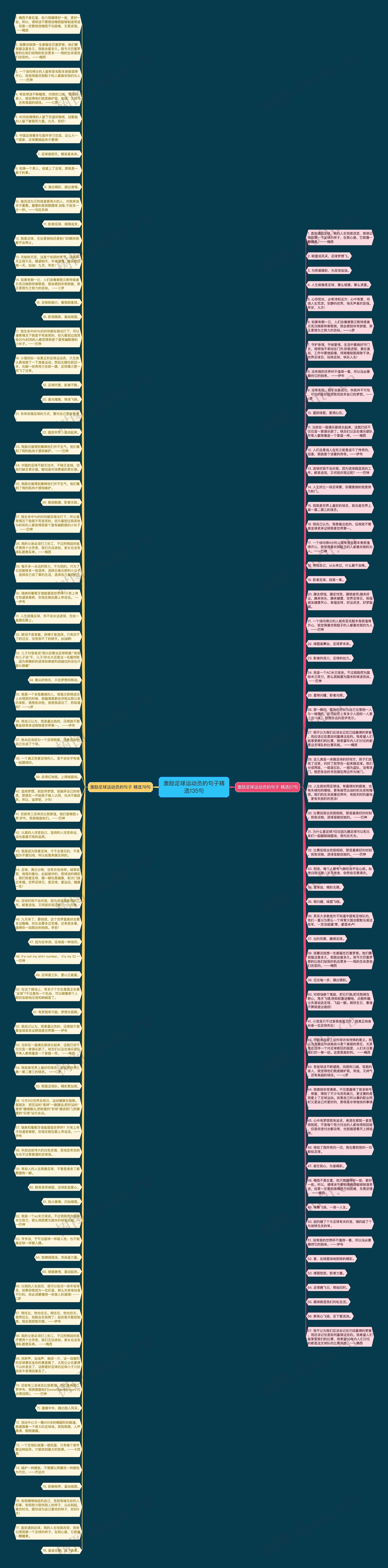 激励足球运动员的句子精选135句思维导图