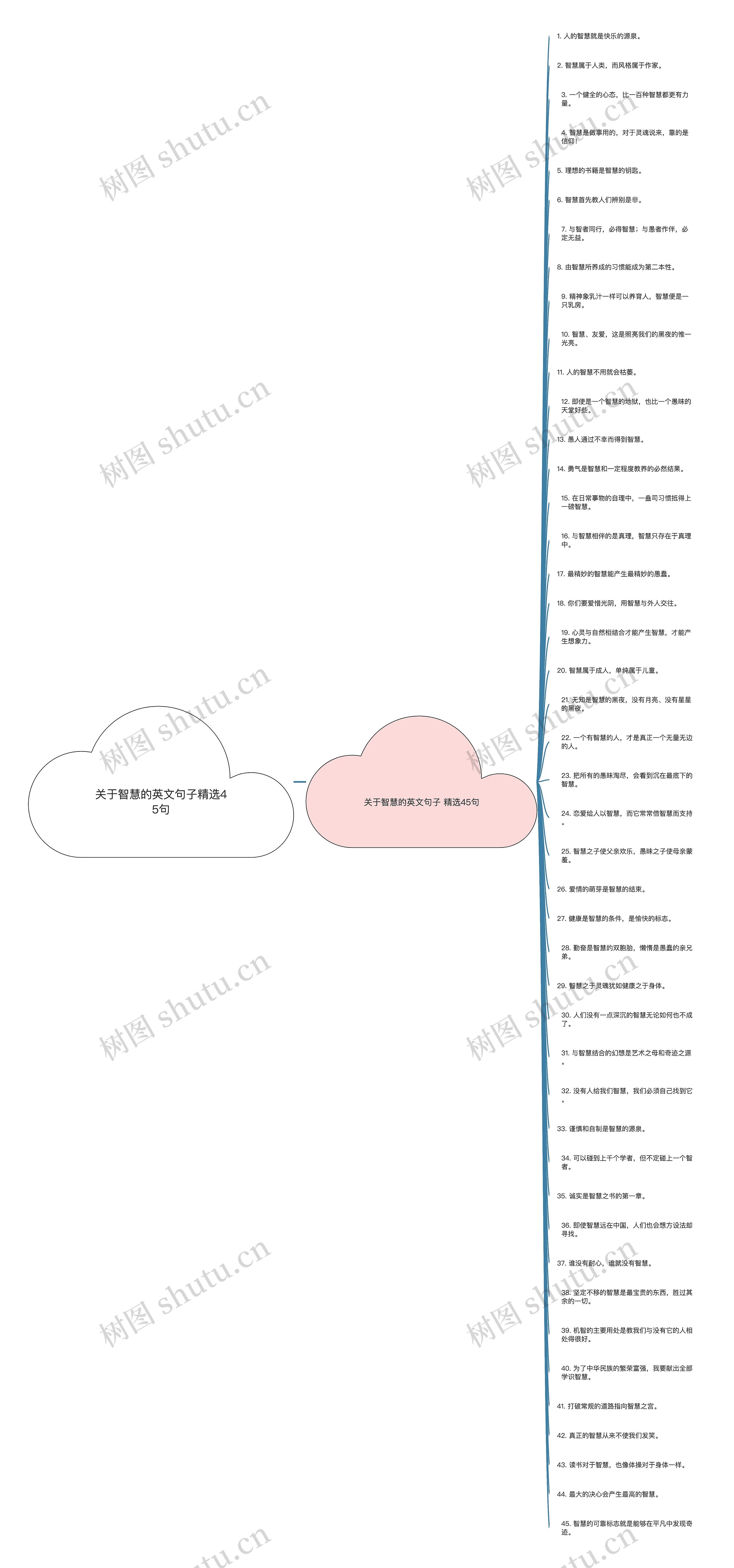 关于智慧的英文句子精选45句思维导图