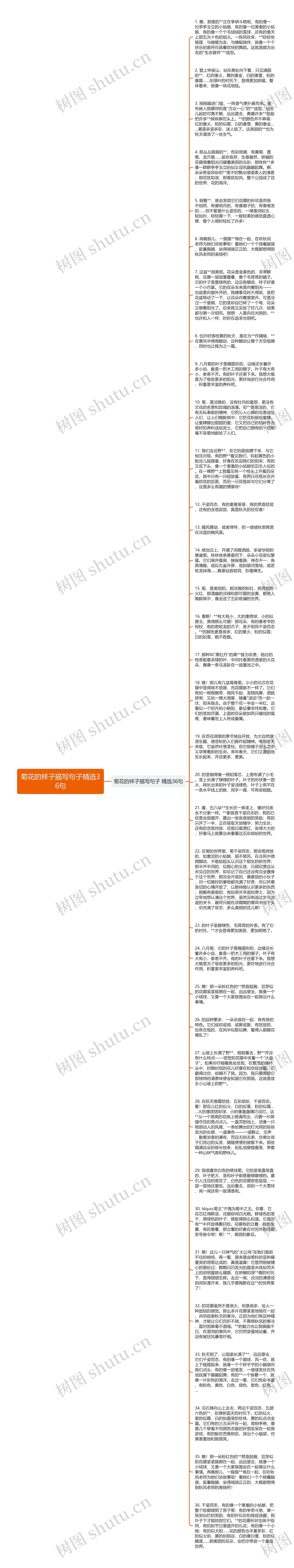 菊花的样子描写句子精选36句思维导图