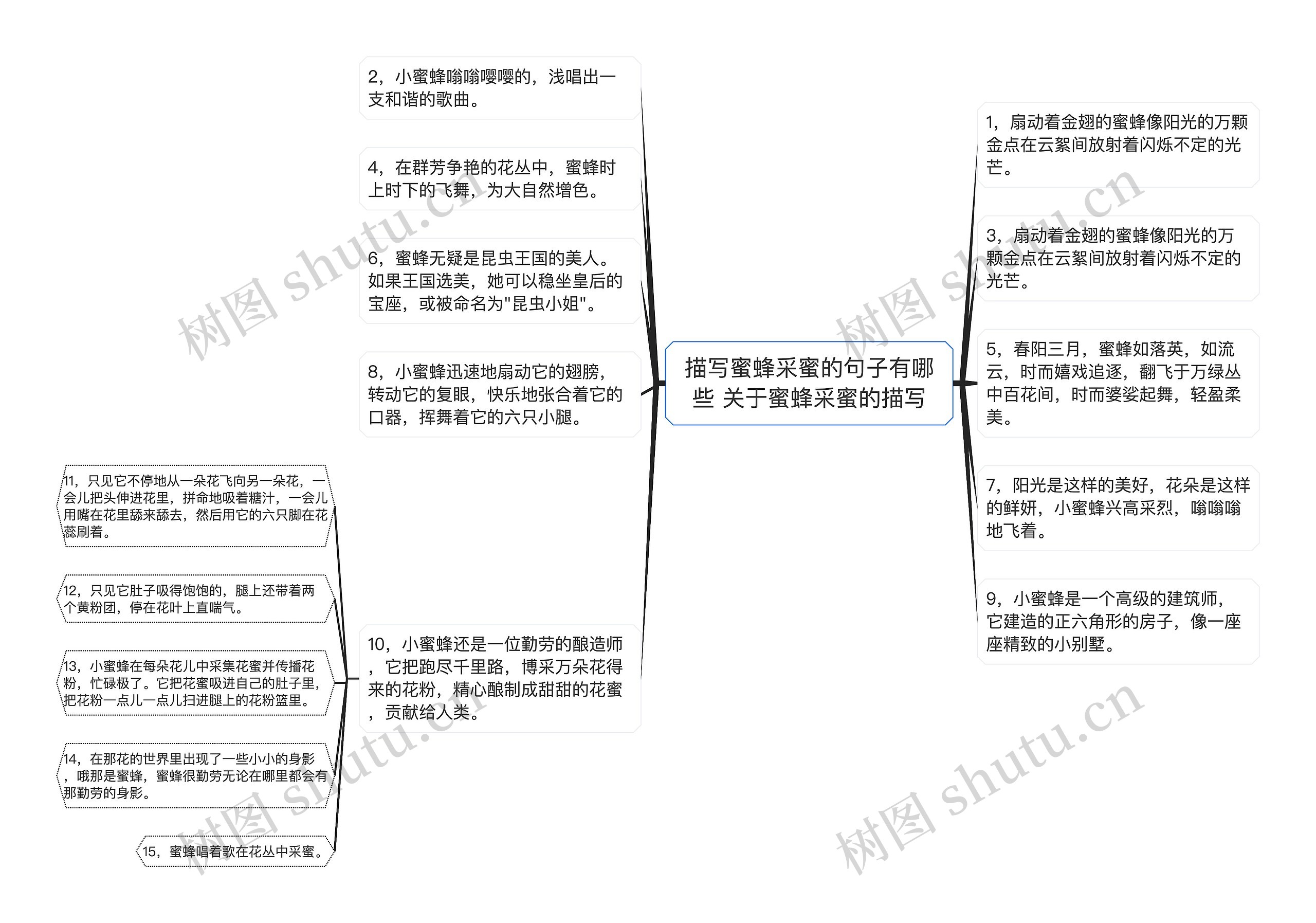 描写蜜蜂采蜜的句子有哪些 关于蜜蜂采蜜的描写思维导图