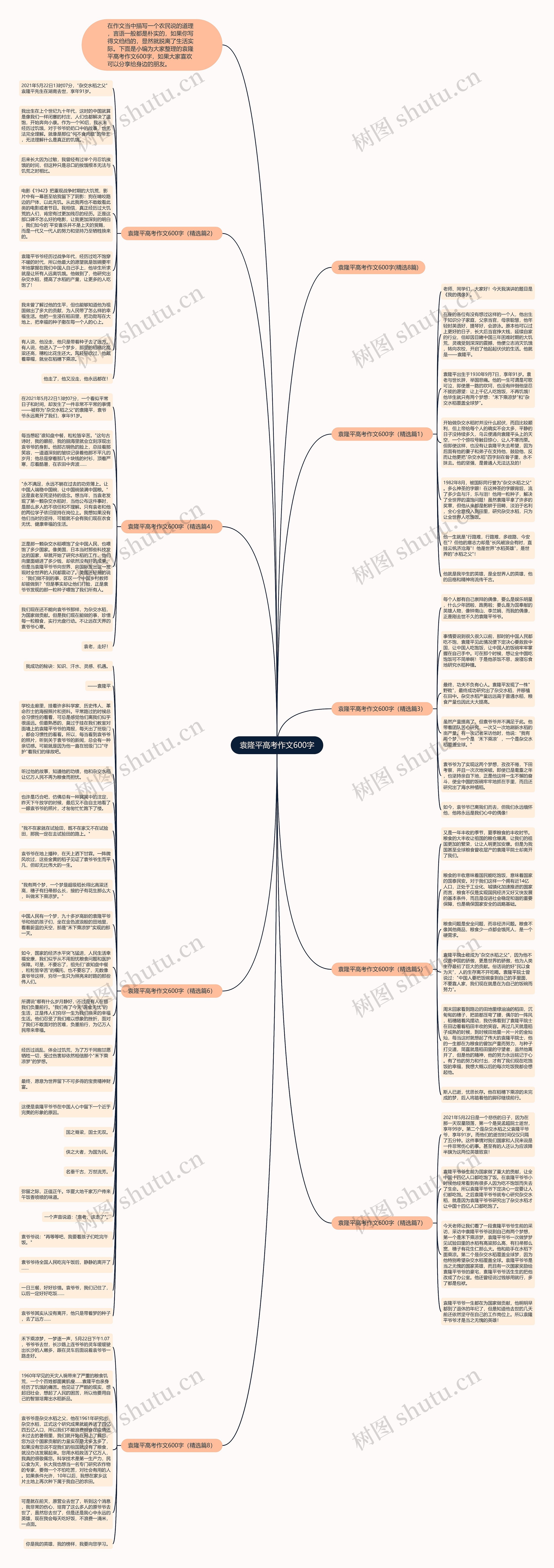 袁隆平高考作文600字思维导图