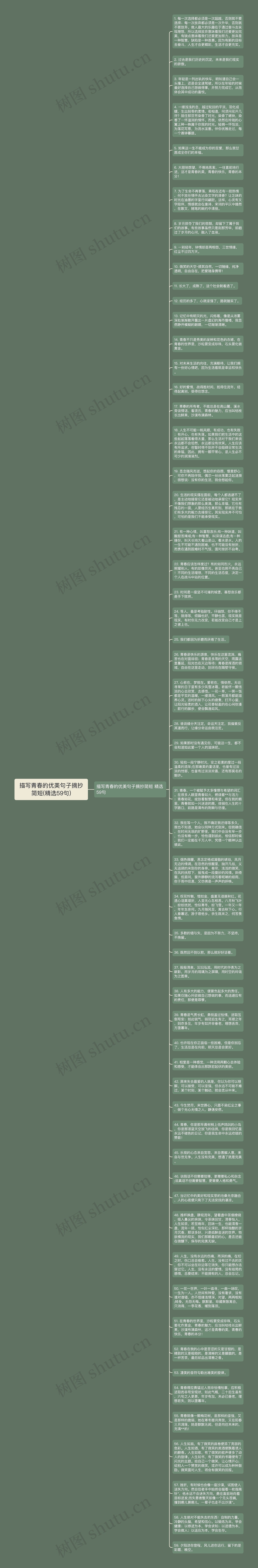 描写青春的优美句子摘抄简短(精选59句)思维导图高清图 描写青春的优美句子摘抄简短(精选59句)思维导图