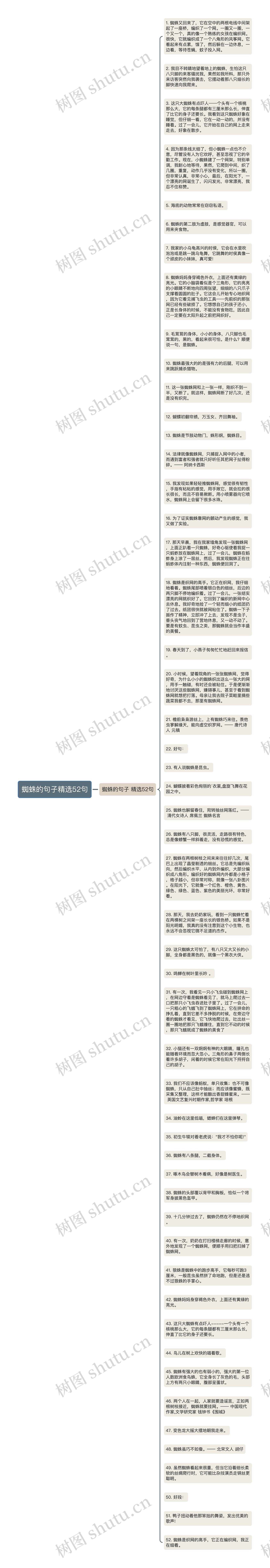 蜘蛛的句子精选52句思维导图