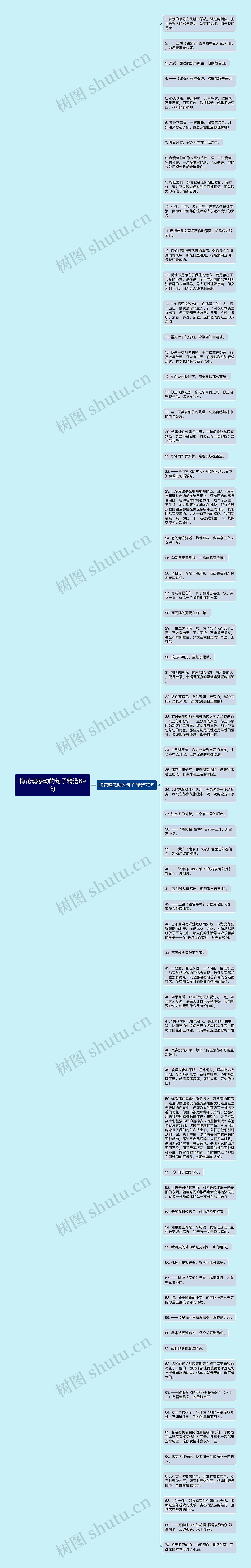 梅花魂感动的句子精选69句思维导图