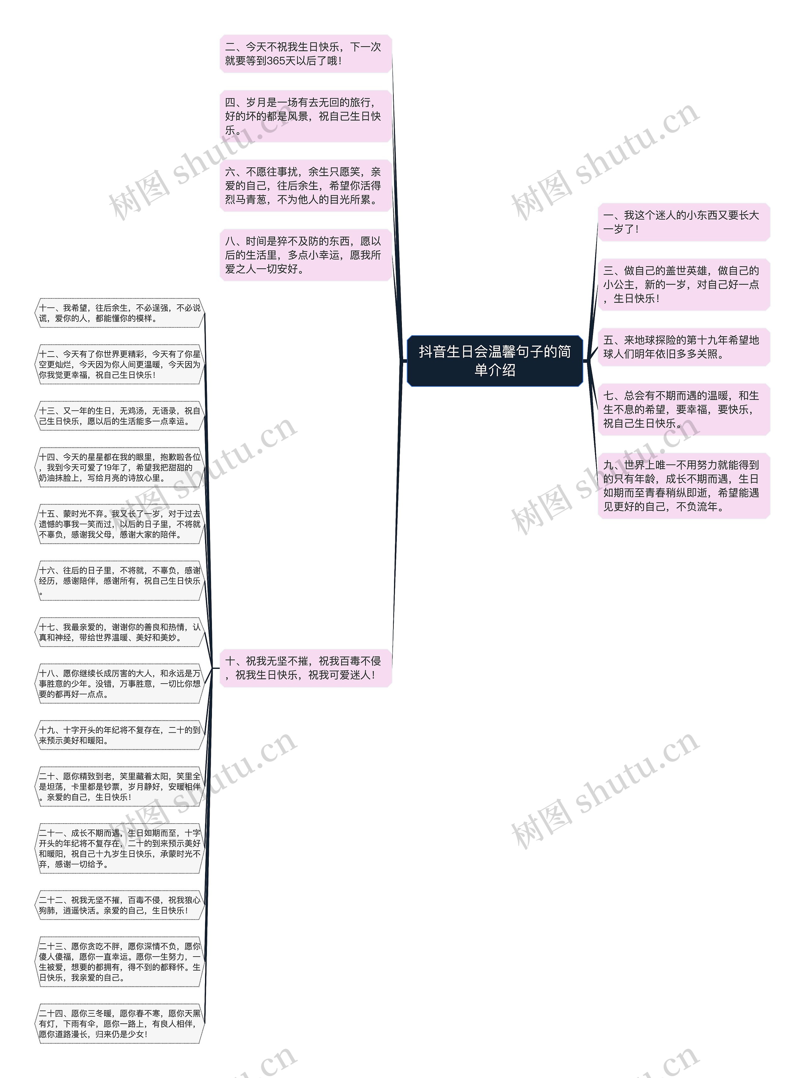 抖音生日会温馨句子的简单介绍思维导图