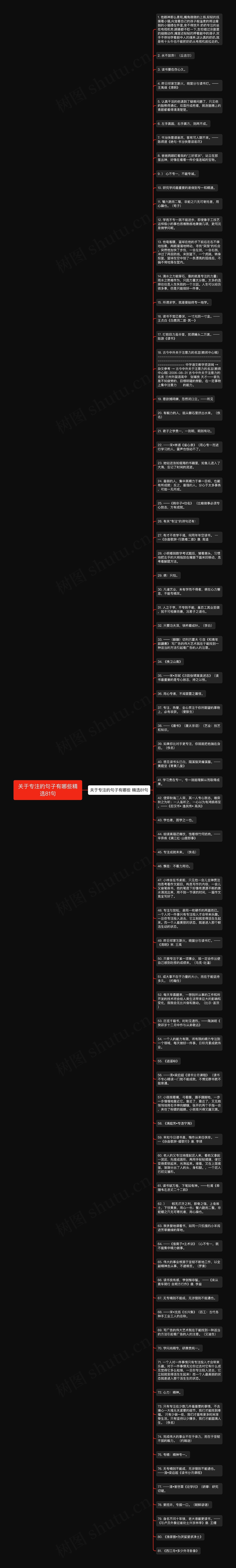 关于专注的句子有哪些精选81句思维导图