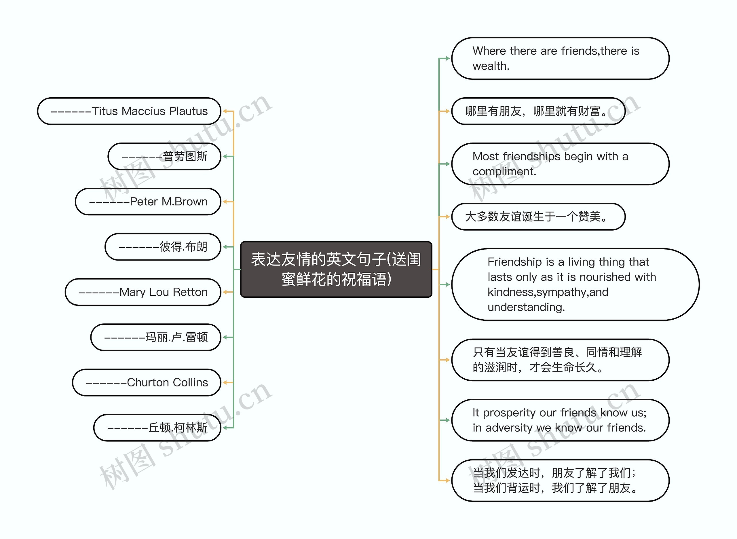 表达友情的英文句子(送闺蜜鲜花的祝福语)思维导图