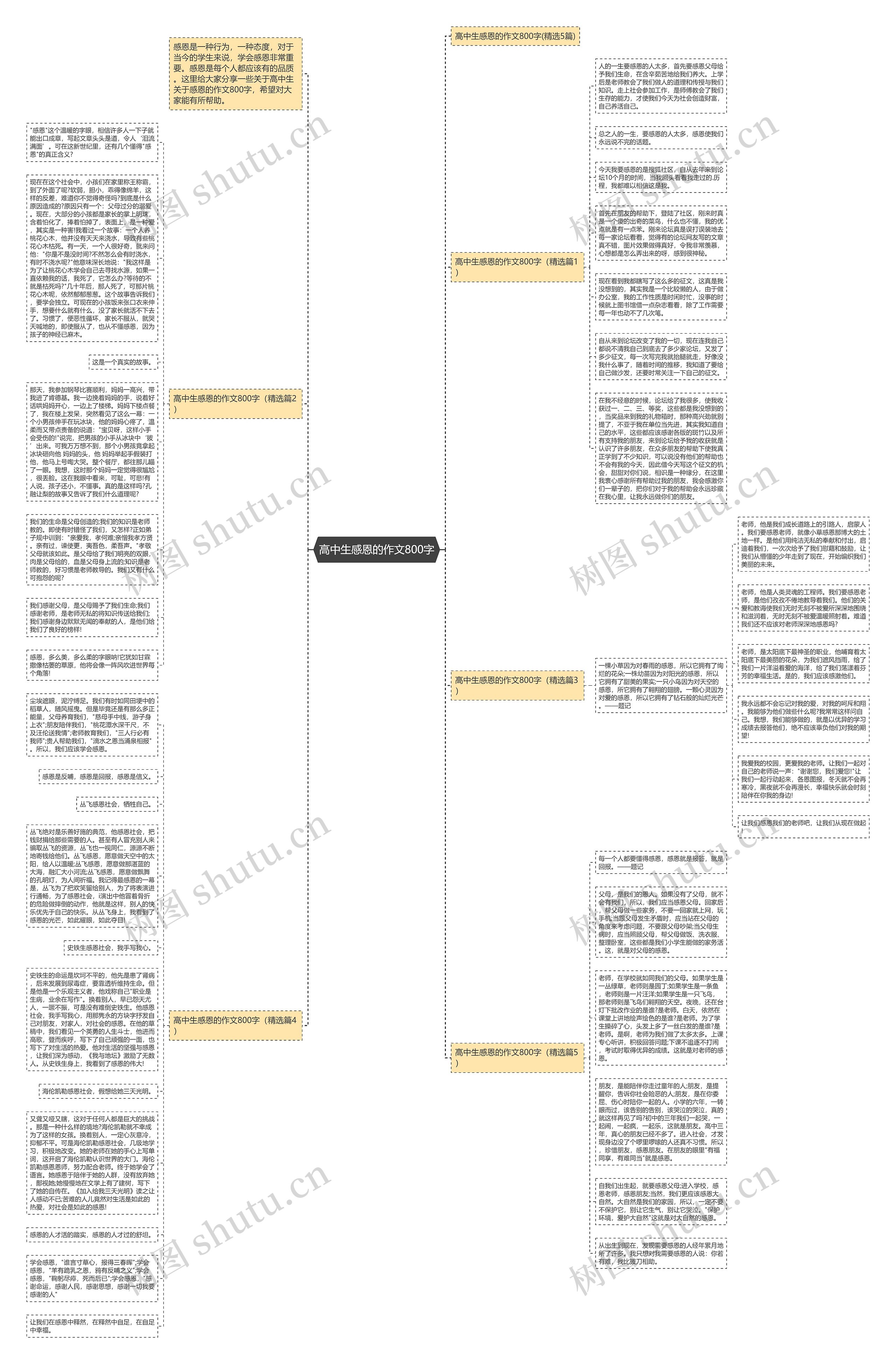 高中生感恩的作文800字思维导图