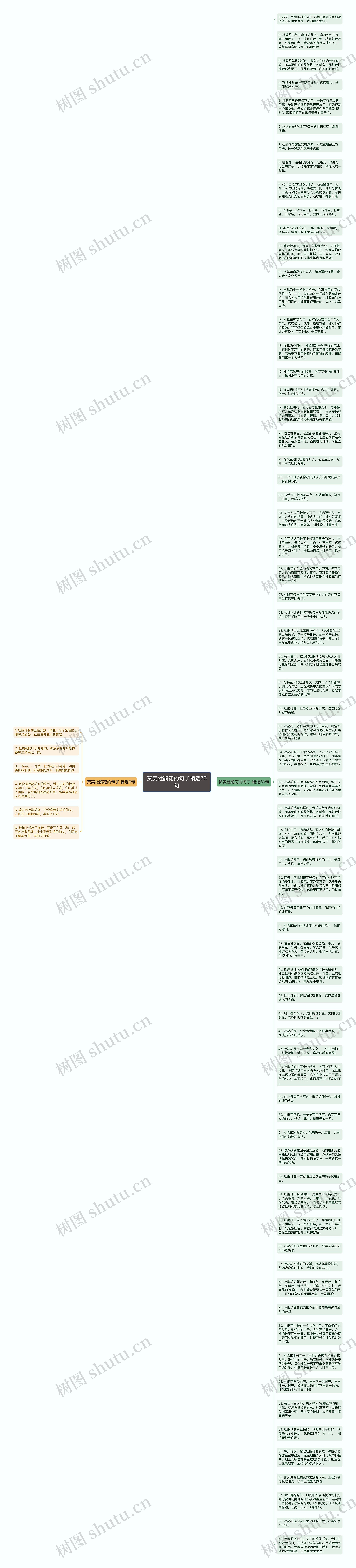 赞美杜鹃花的句子精选75句思维导图