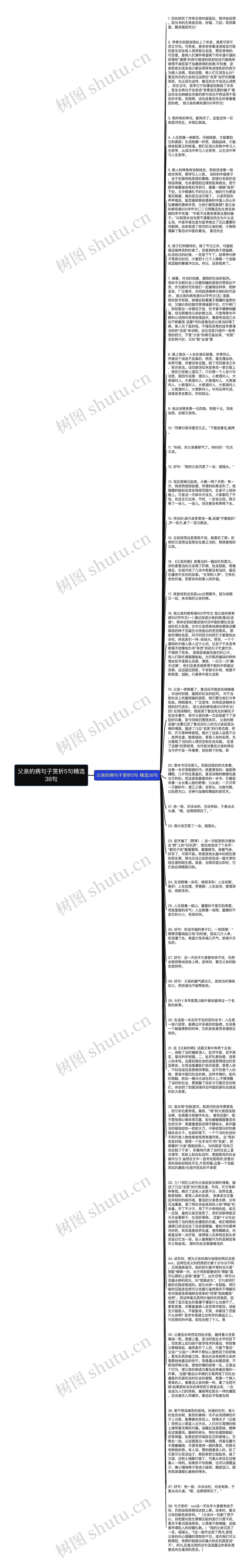 父亲的病句子赏析5句精选38句思维导图高清图 父亲的病句子赏析5句精选38句思维导图