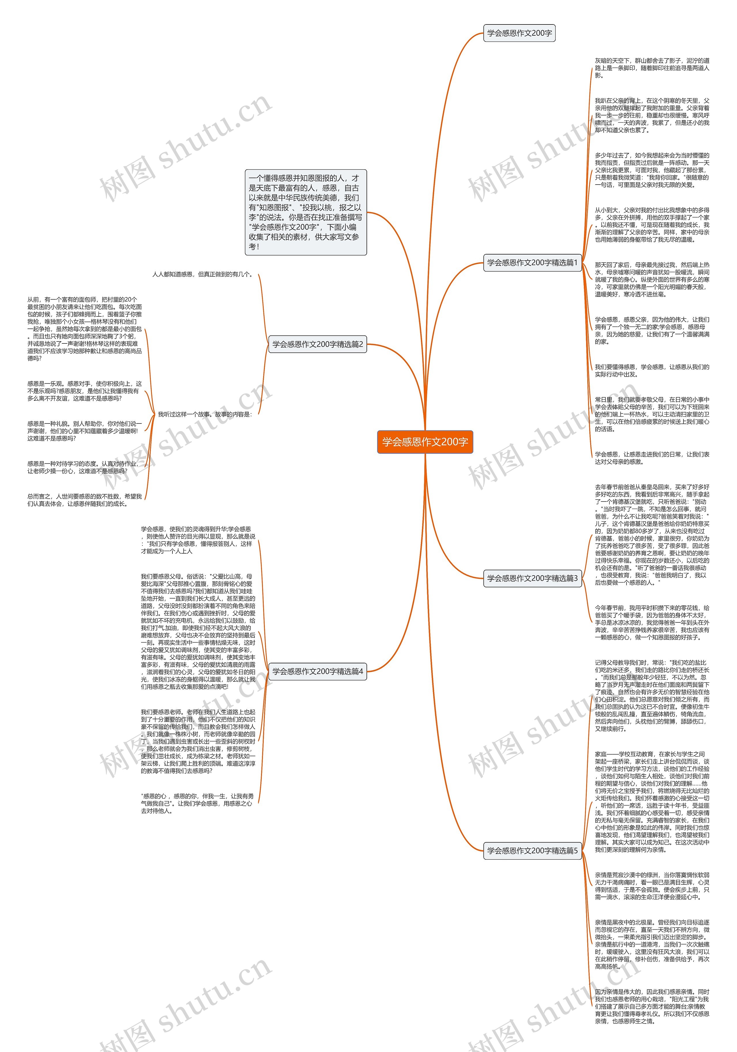 学会感恩作文200字思维导图