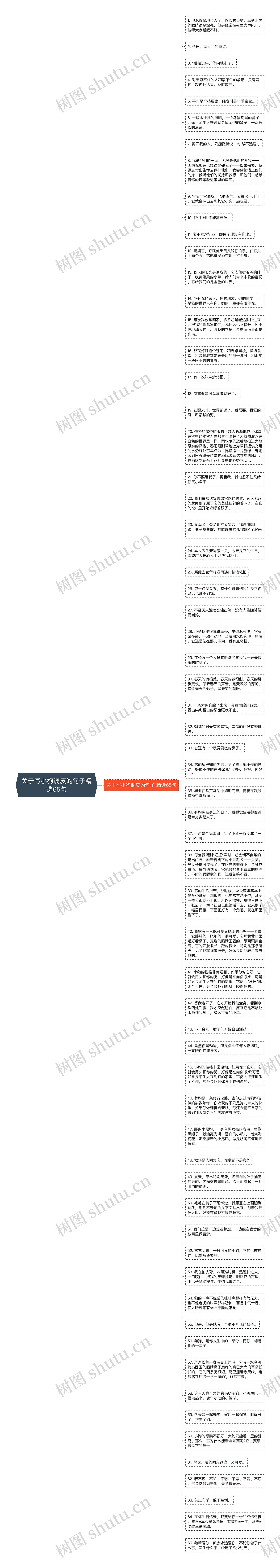 关于写小狗调皮的句子精选65句思维导图