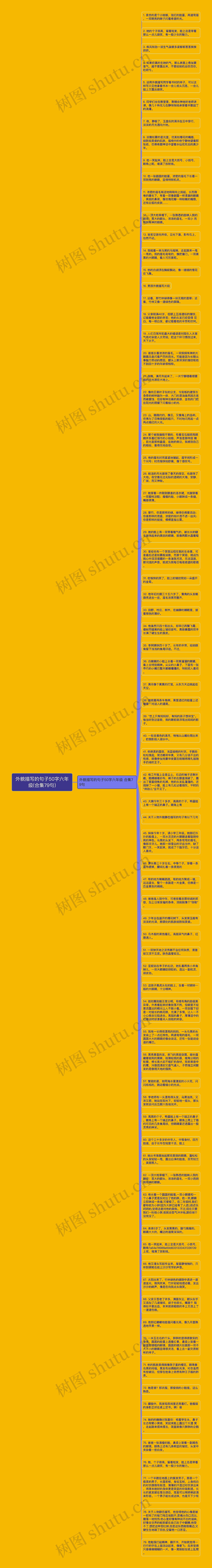 外貌描写的句子50字六年级(合集79句)思维导图