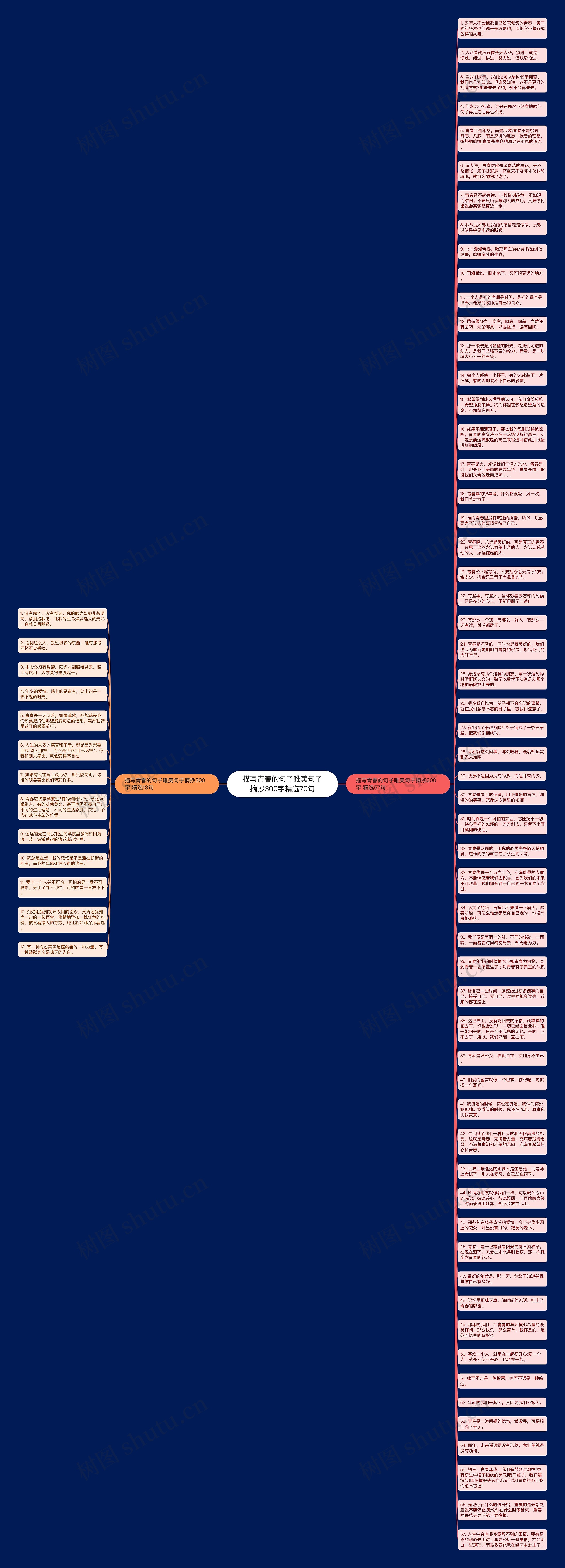 描写青春的句子唯美句子摘抄300字精选70句思维导图
