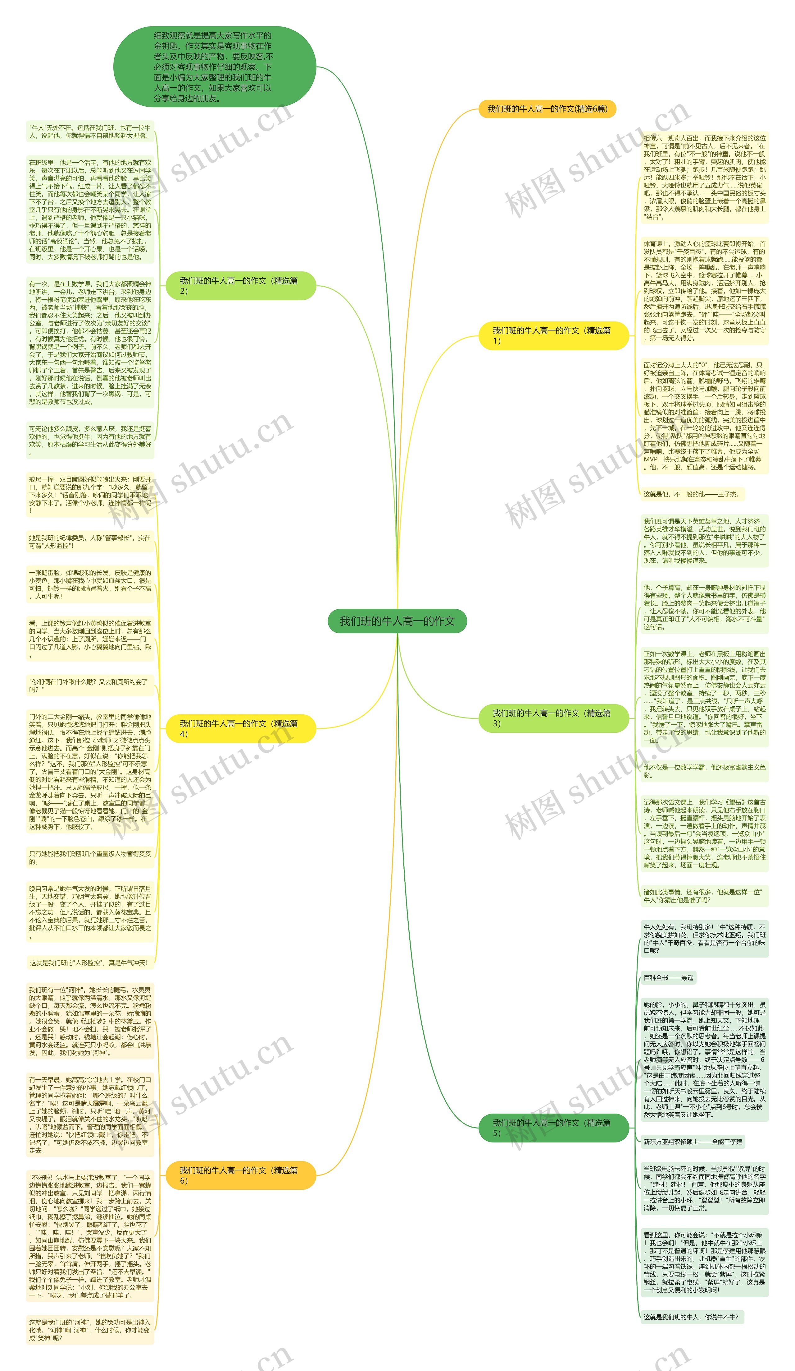 我们班的牛人高一的作文思维导图