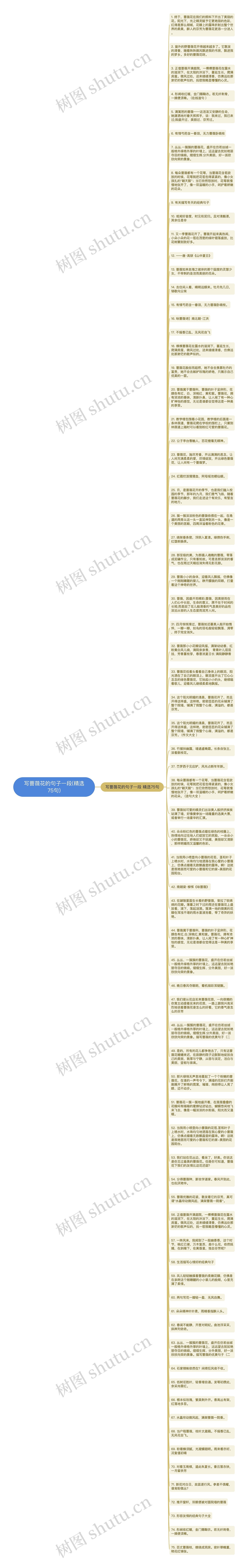 写蔷薇花的句子一段(精选75句)思维导图