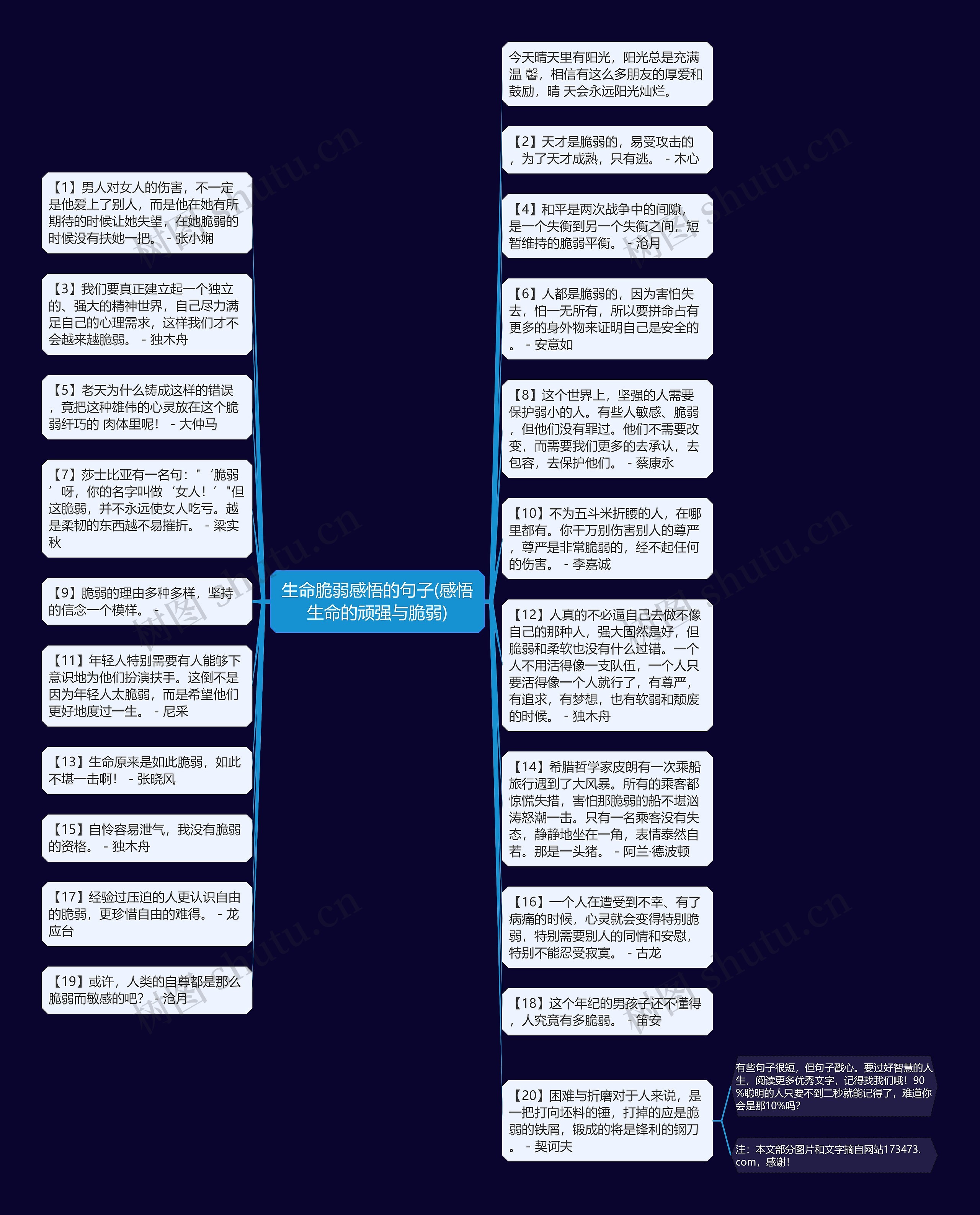 生命脆弱感悟的句子(感悟生命的顽强与脆弱)思维导图