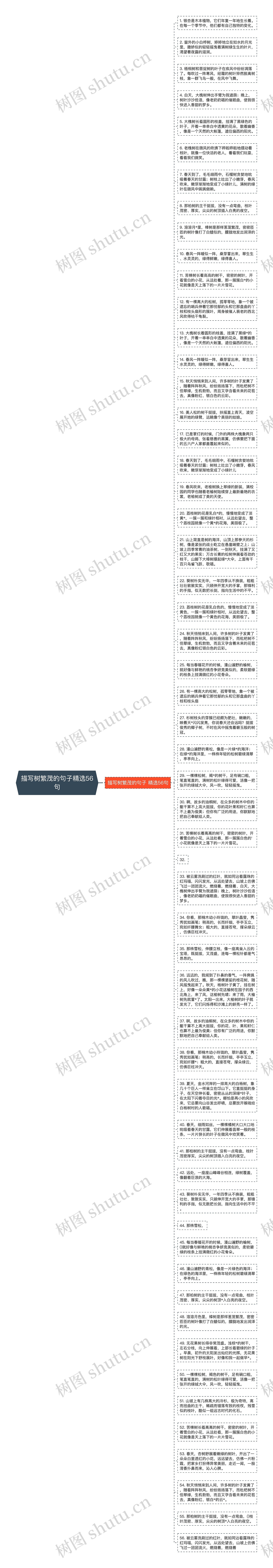 描写树繁茂的句子精选56句思维导图