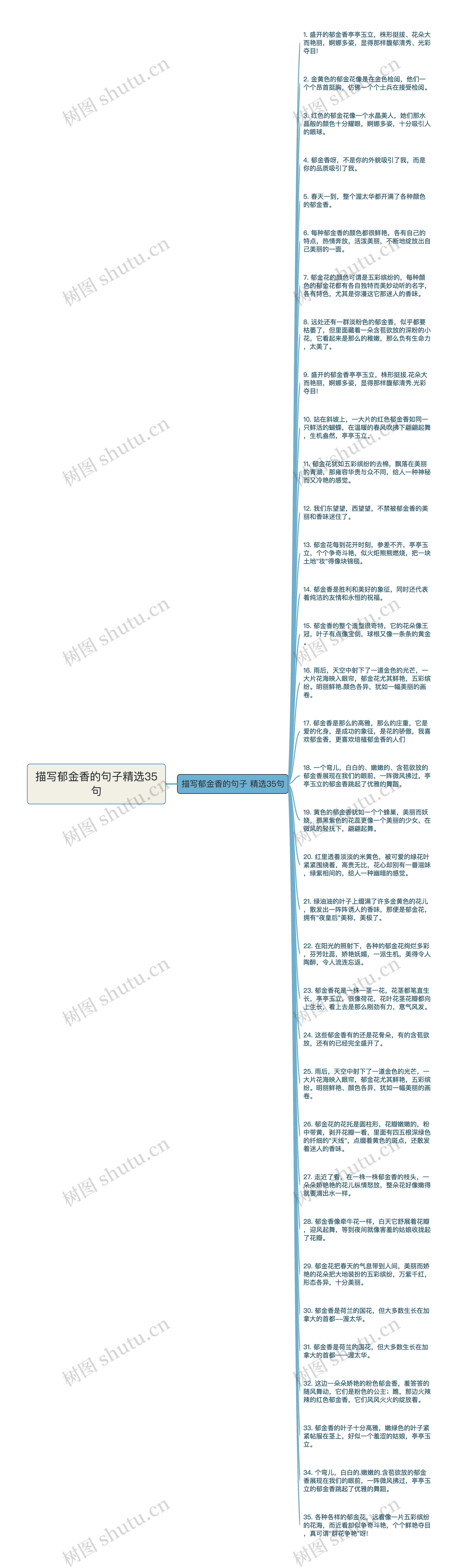 描写郁金香的句子精选35句