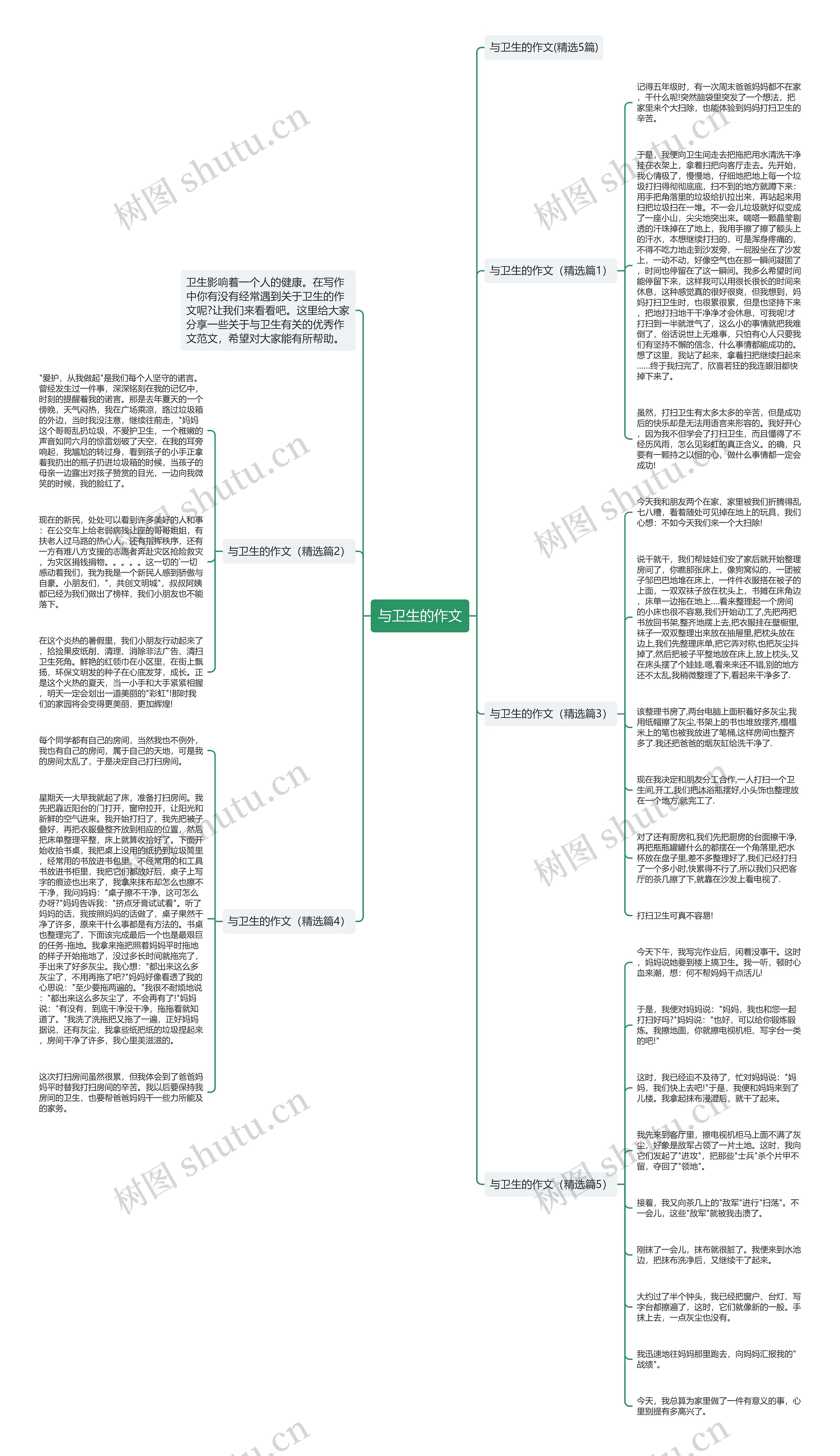 与卫生的作文思维导图