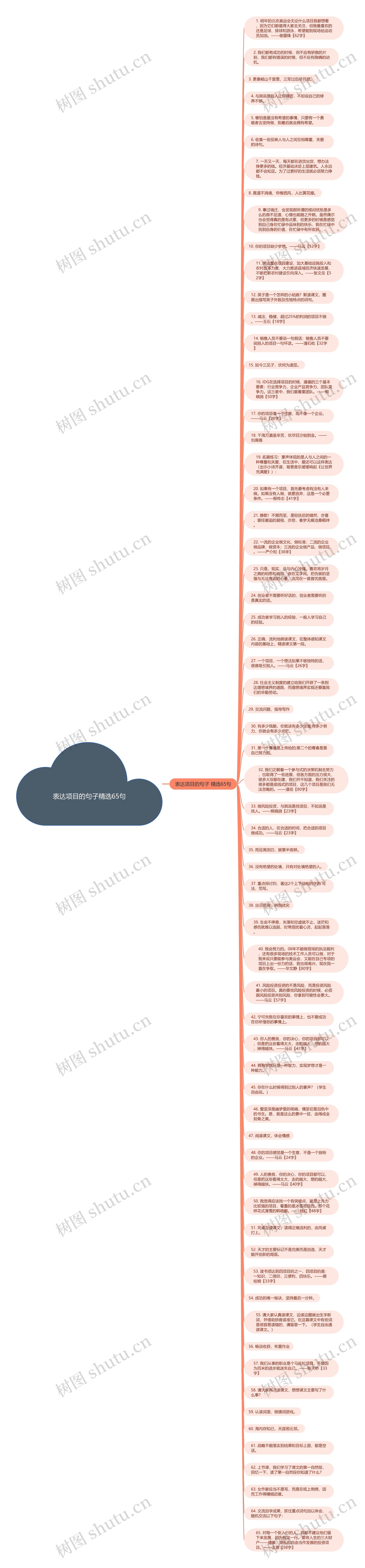 表达项目的句子精选65句思维导图