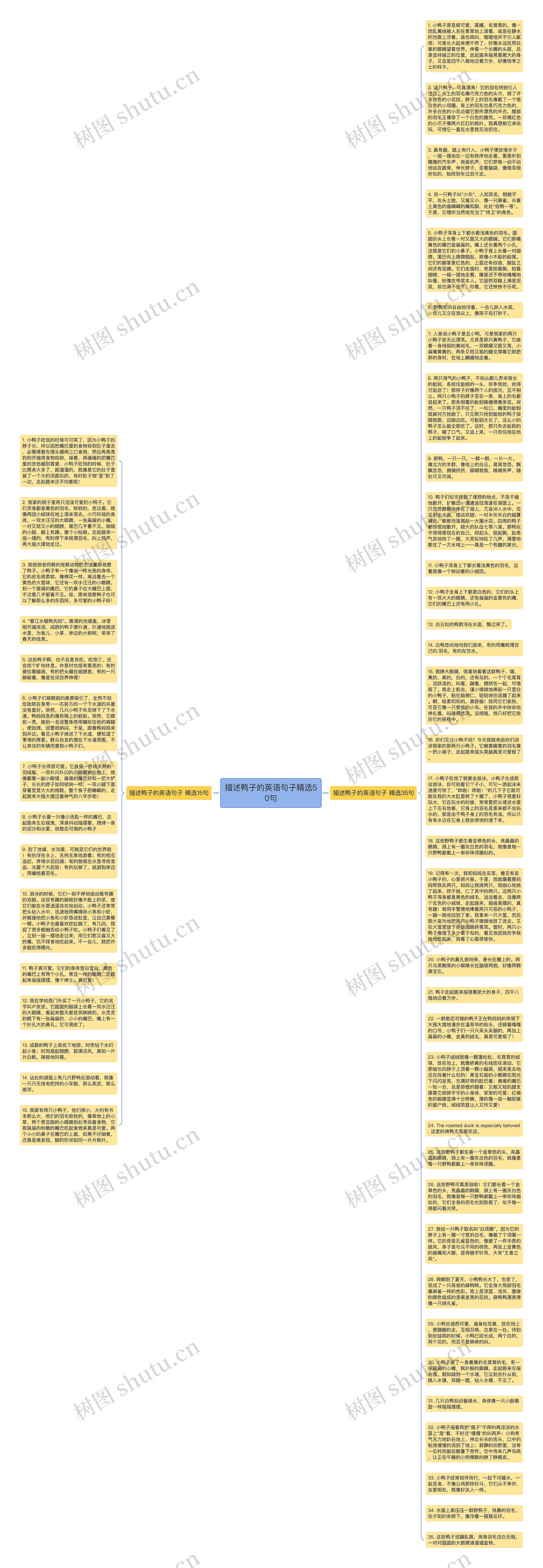 描述鸭子的英语句子精选50句思维导图