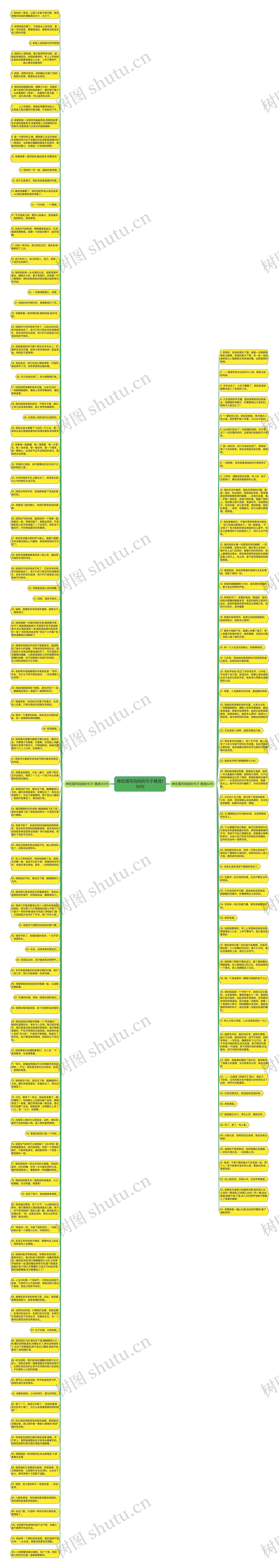 神态描写妈妈的句子精选156句思维导图