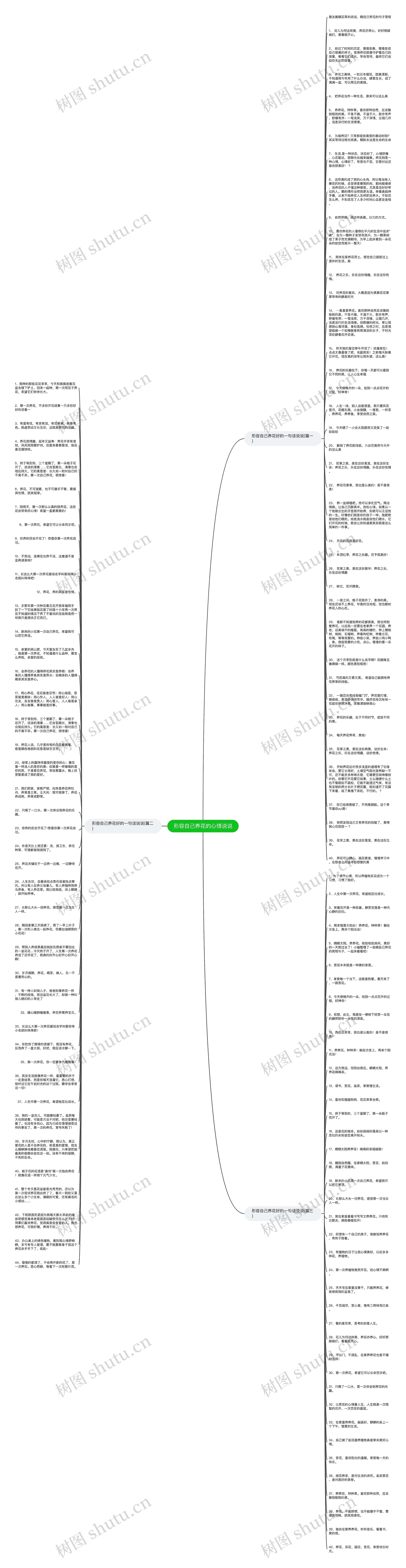形容自己养花的心情说说思维导图高清图 形容自己养花的心情说说思维导图